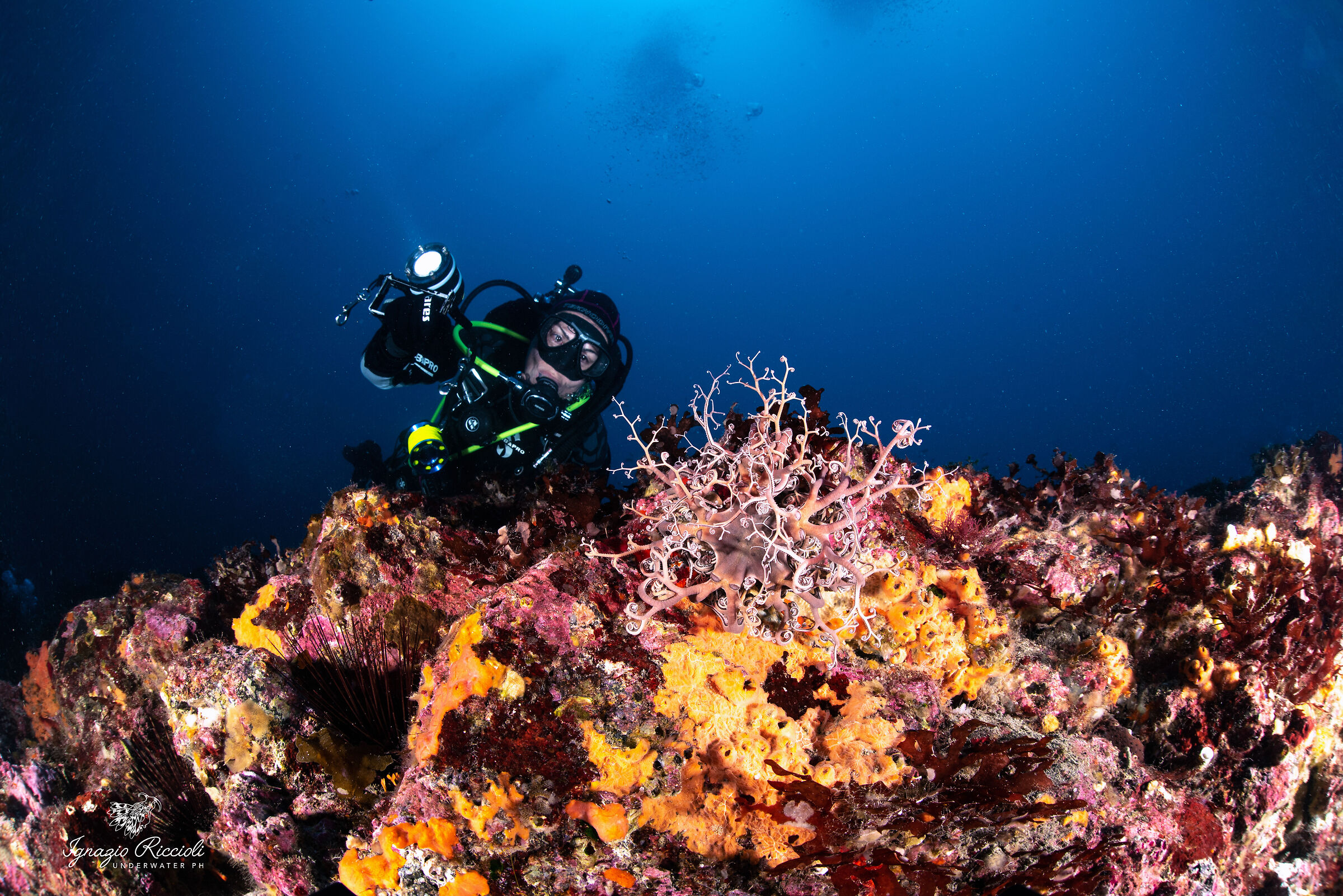 Una stella per Gabry