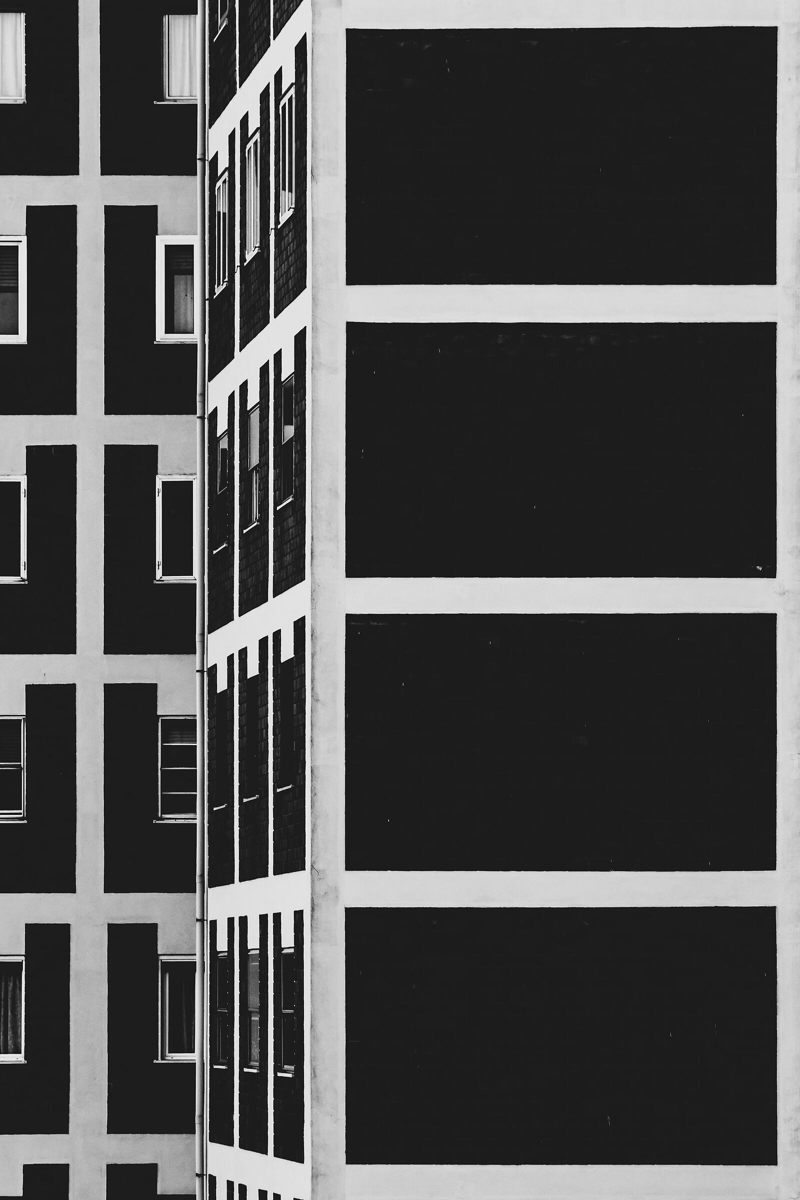 Dritto o rovescio ..