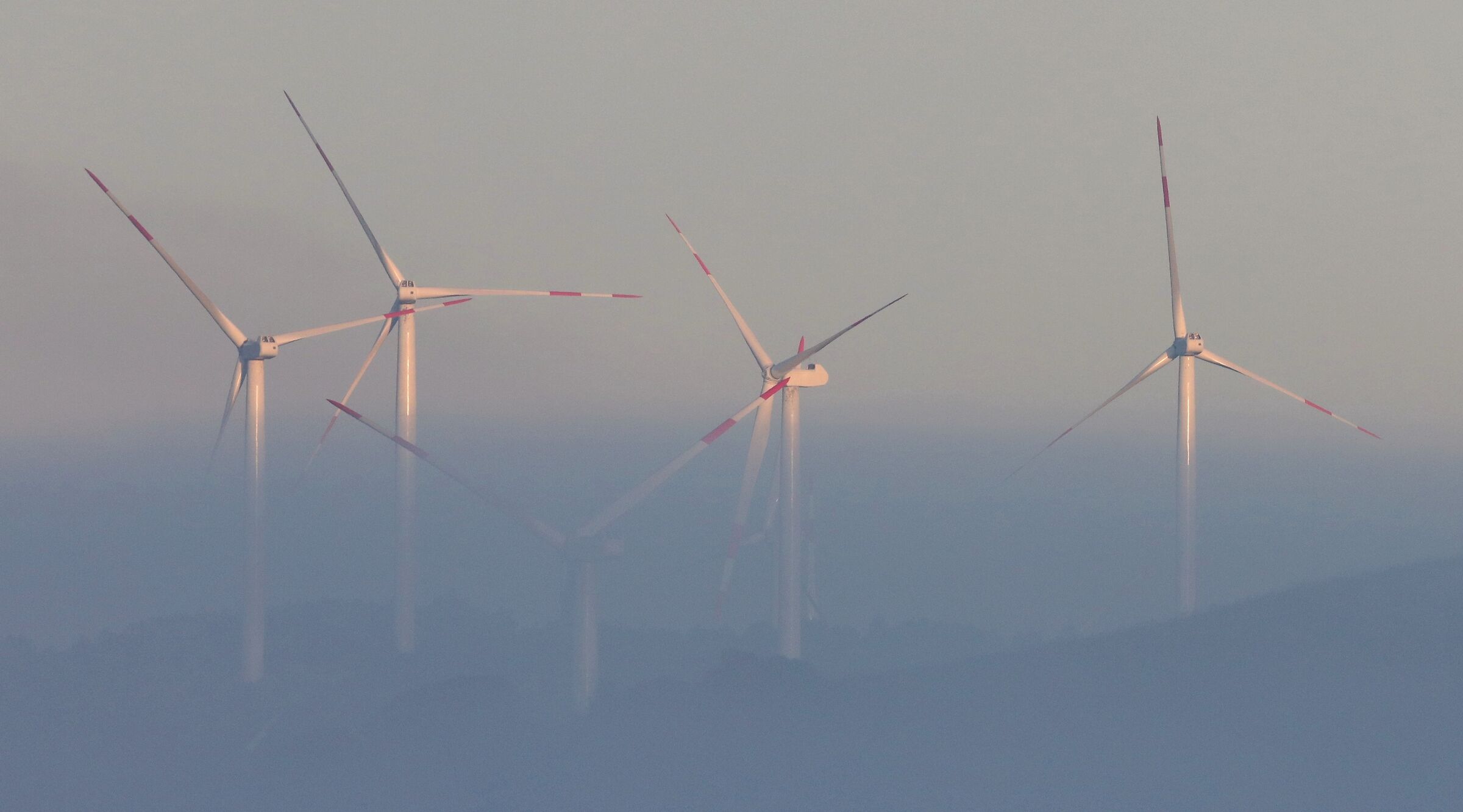 Avvolte dalla nebbia
