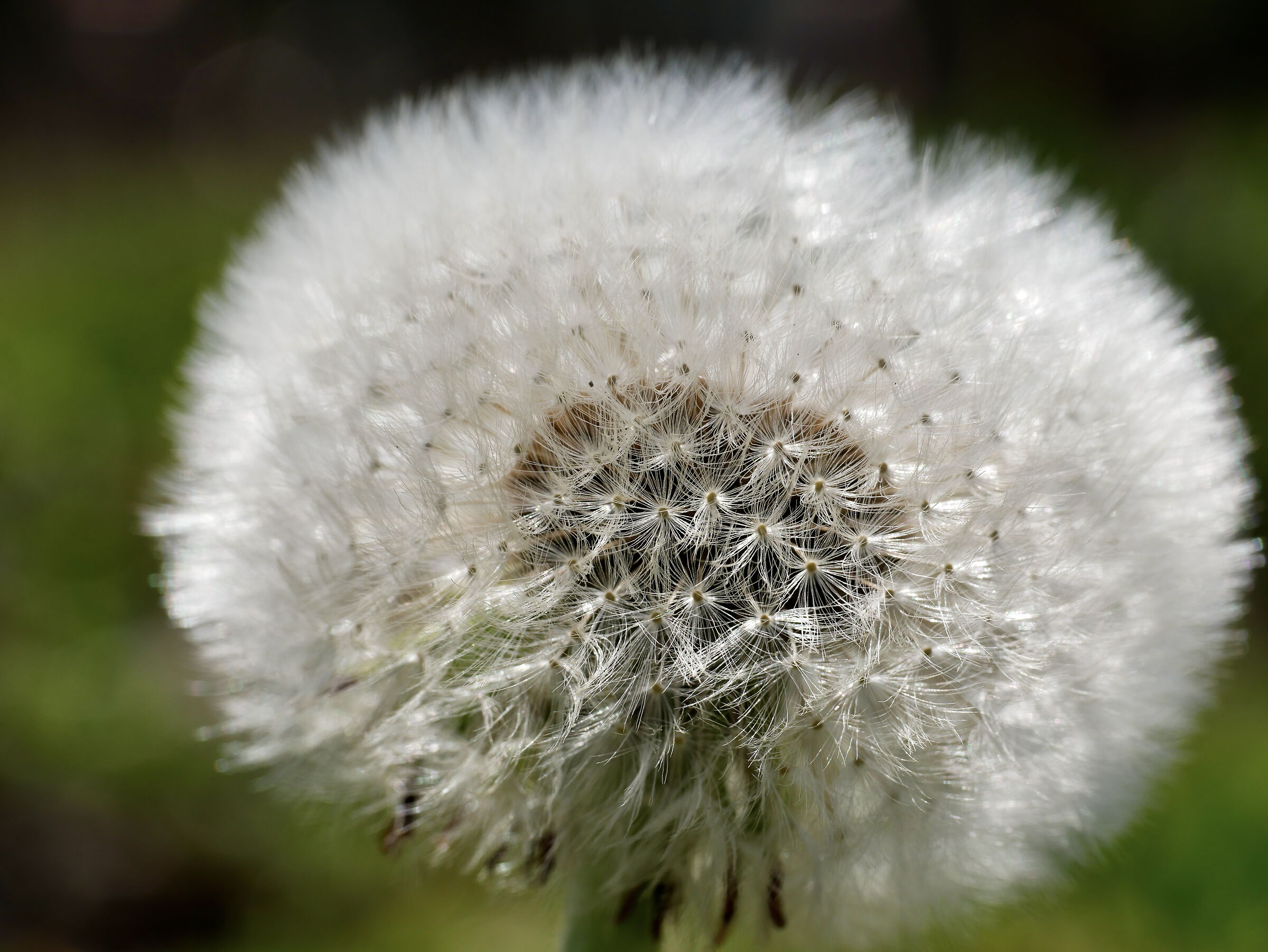 mah...speriamo non si alzi il vento!!!