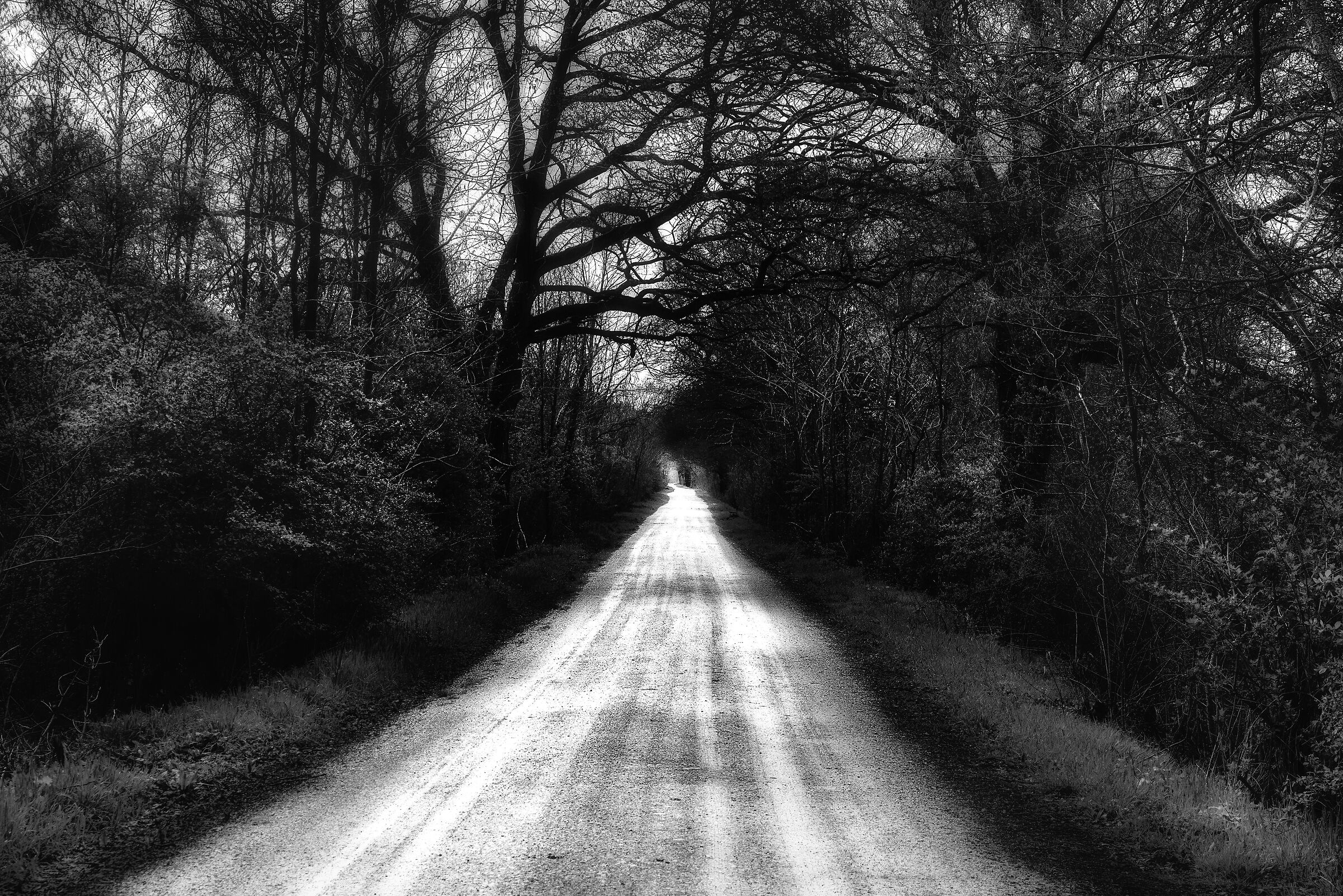 strade che si fanno strada