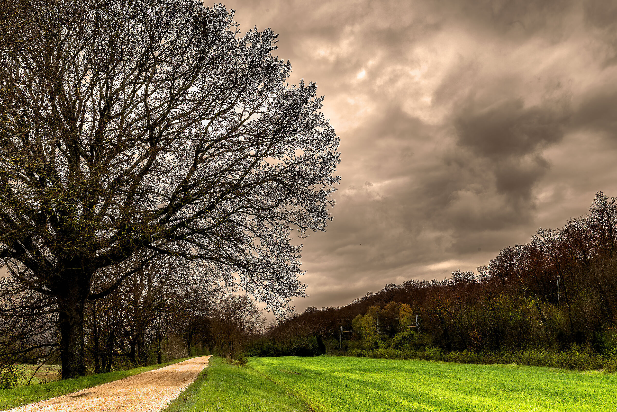 paesaggio di falsi colori