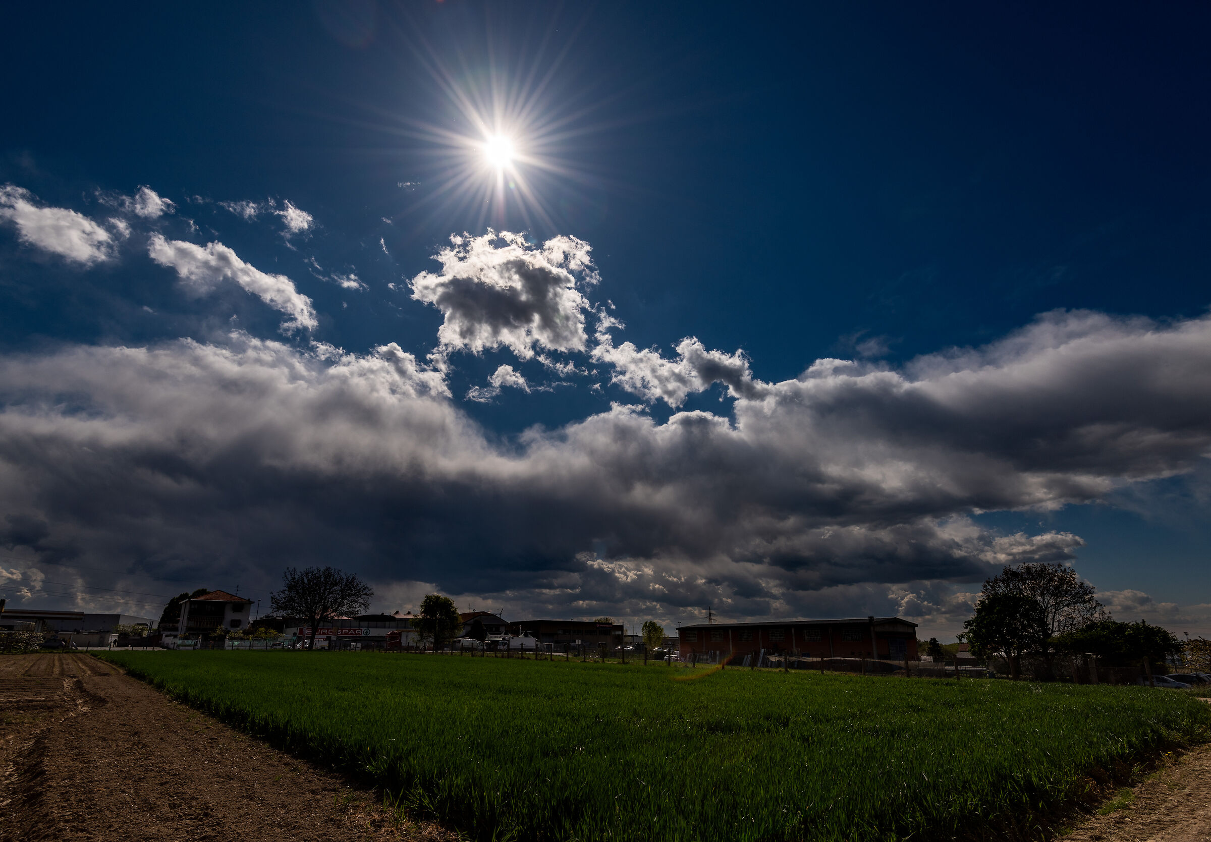 Backlight