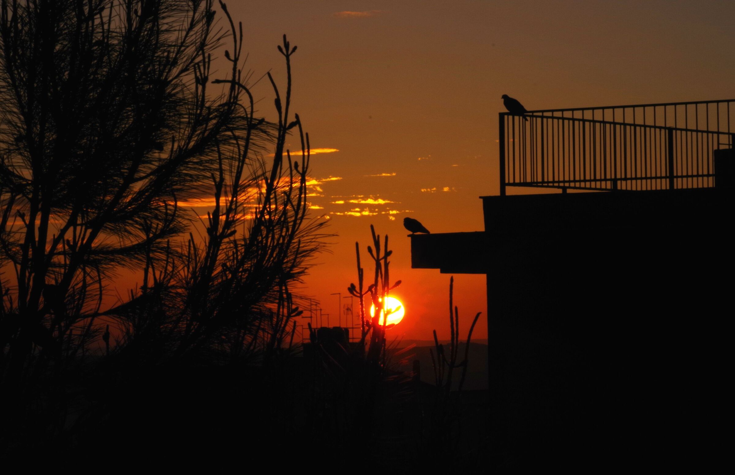 ...And now the sun's coming up...