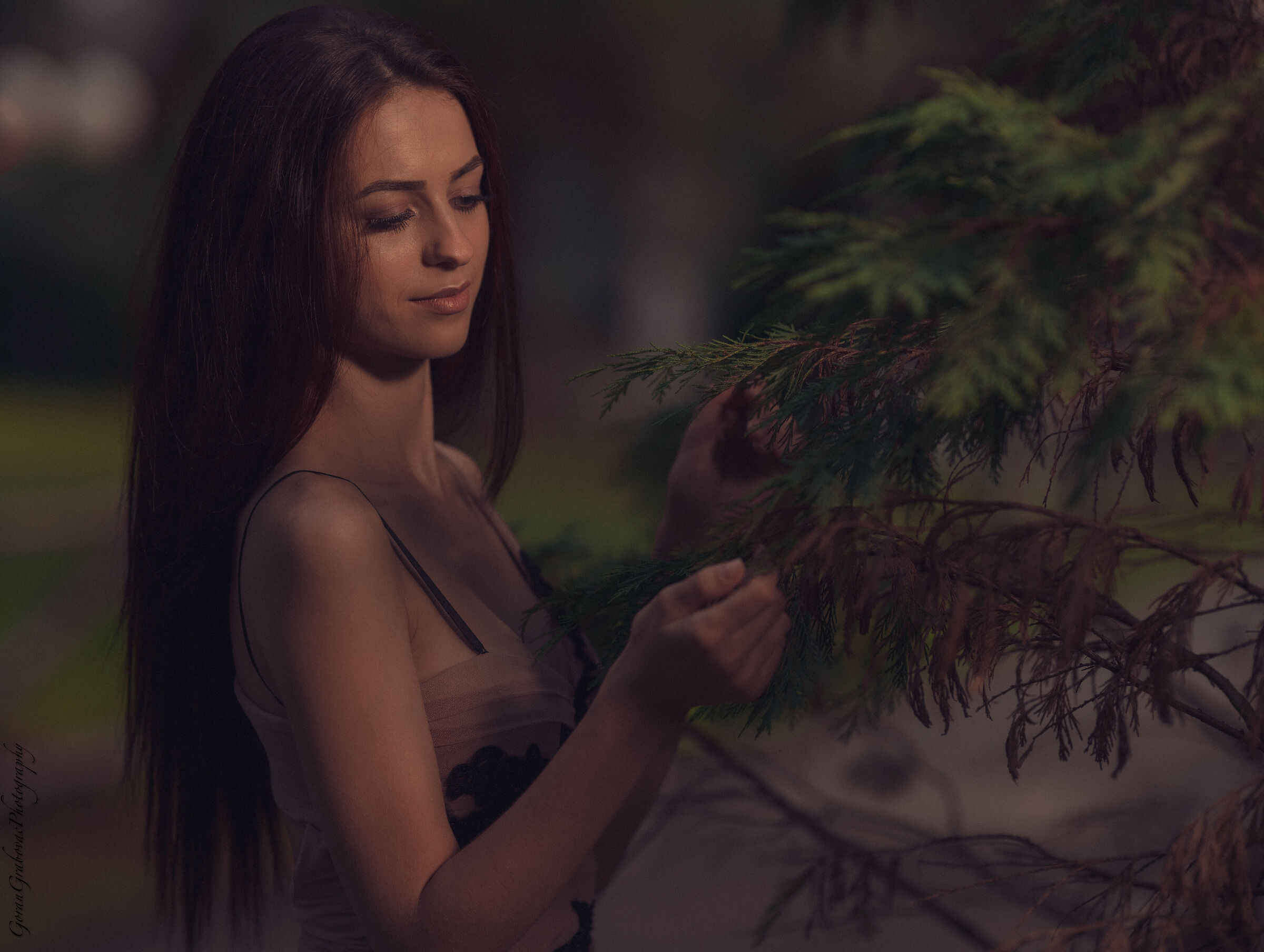Untitled Photo