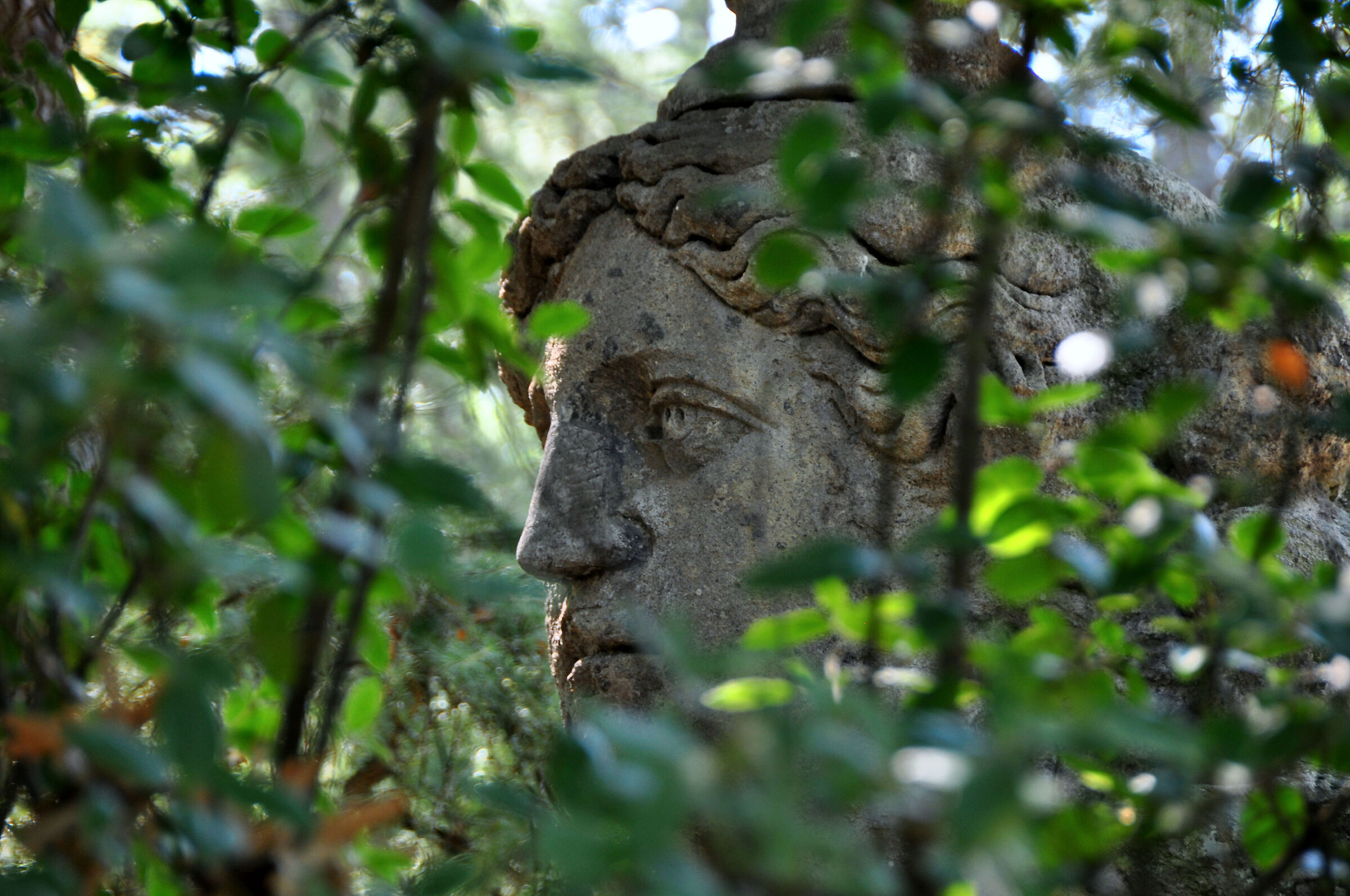 Tuscia, S. Tuscia