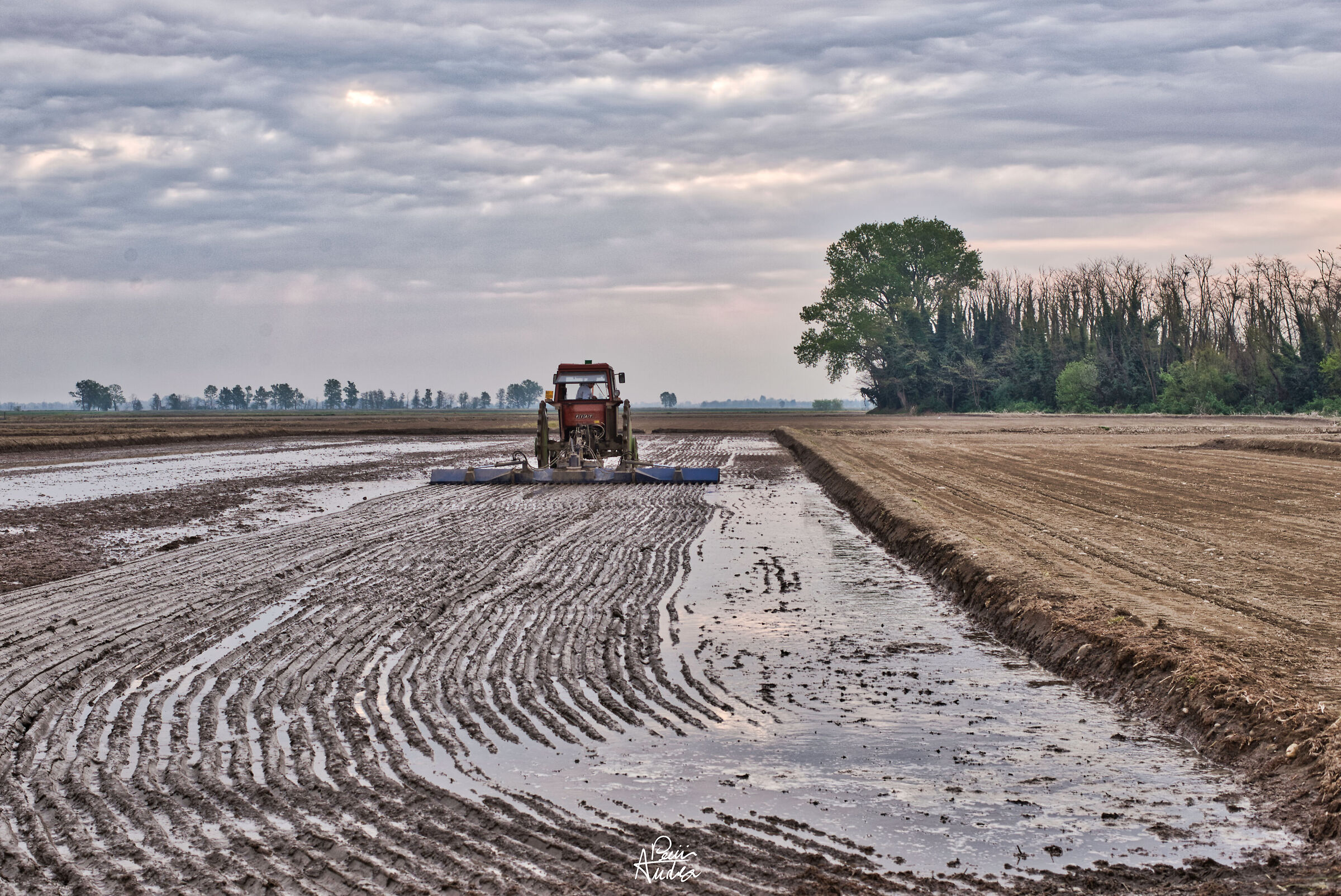 The water begins to rise