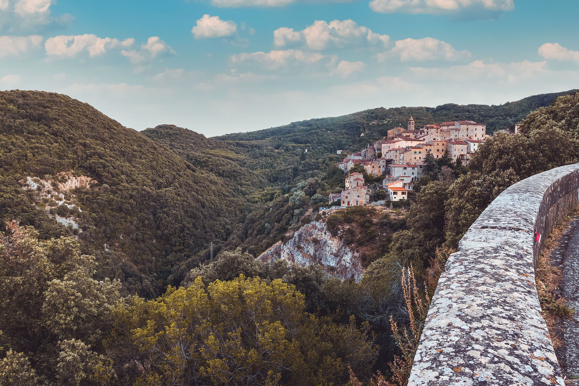 Glimpse of the village