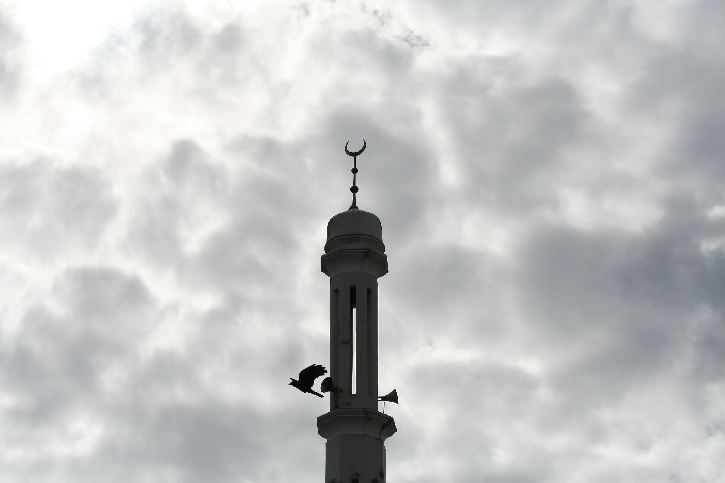Flying over the crescent
