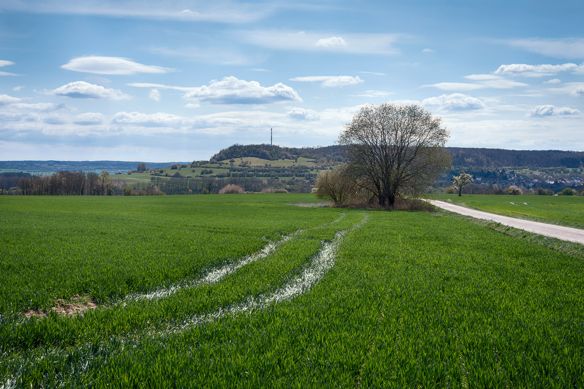 Bliesgau