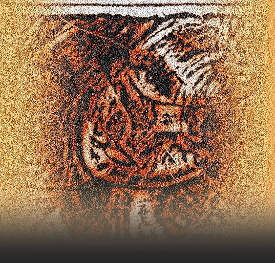 il volo