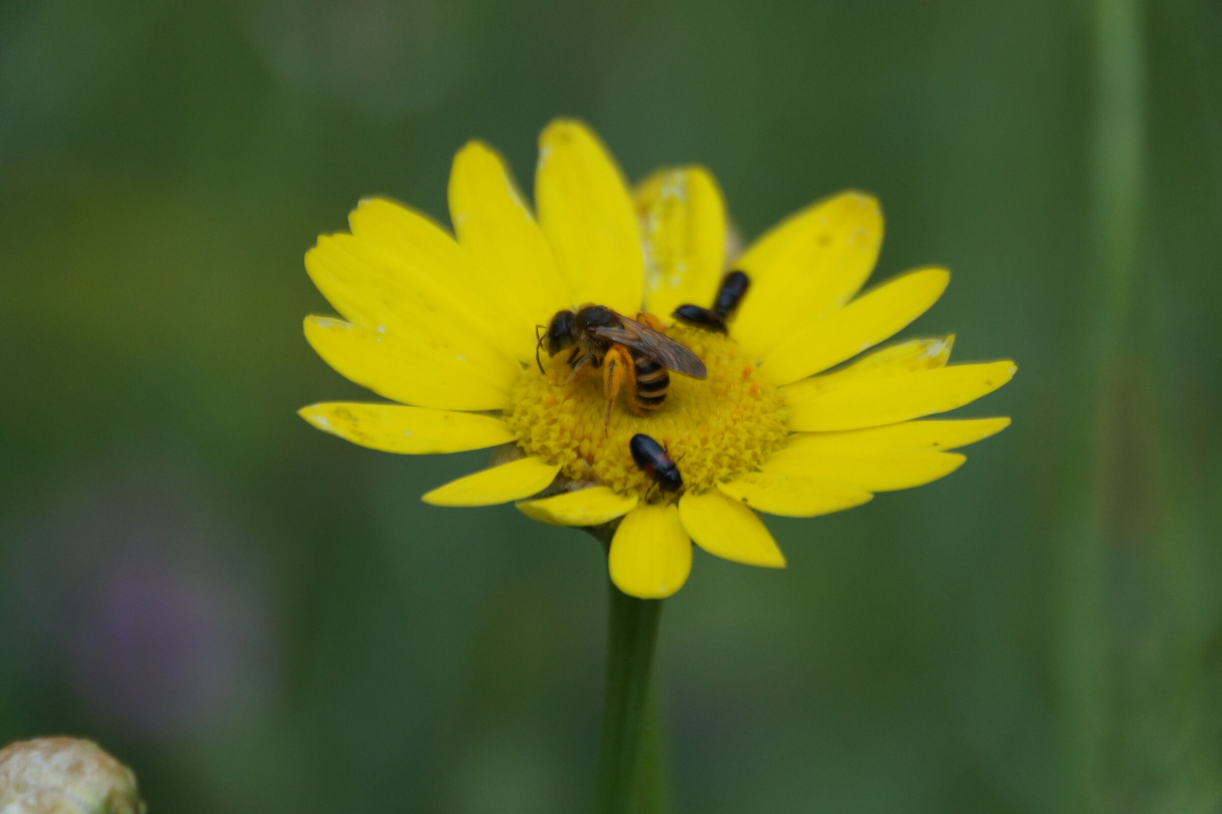 C'è posto per tutti