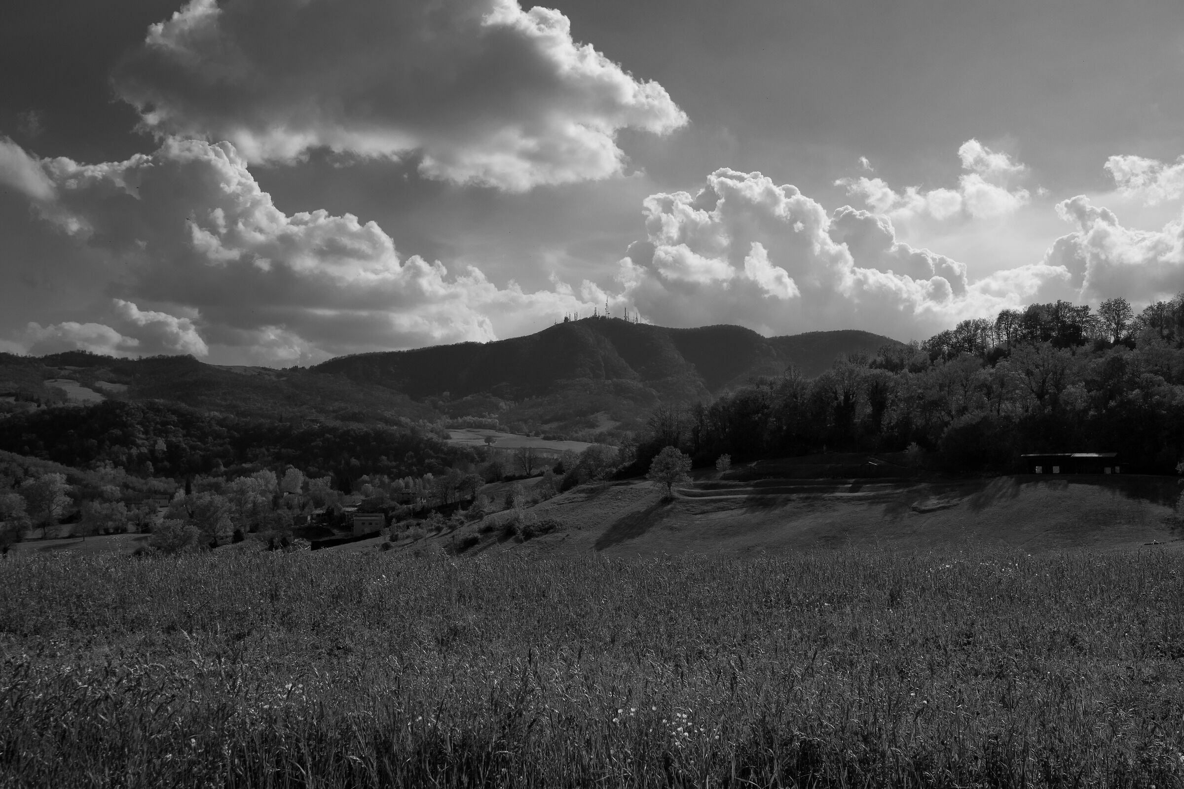 Monte Canate (Salsomaggiore Terme - PR)