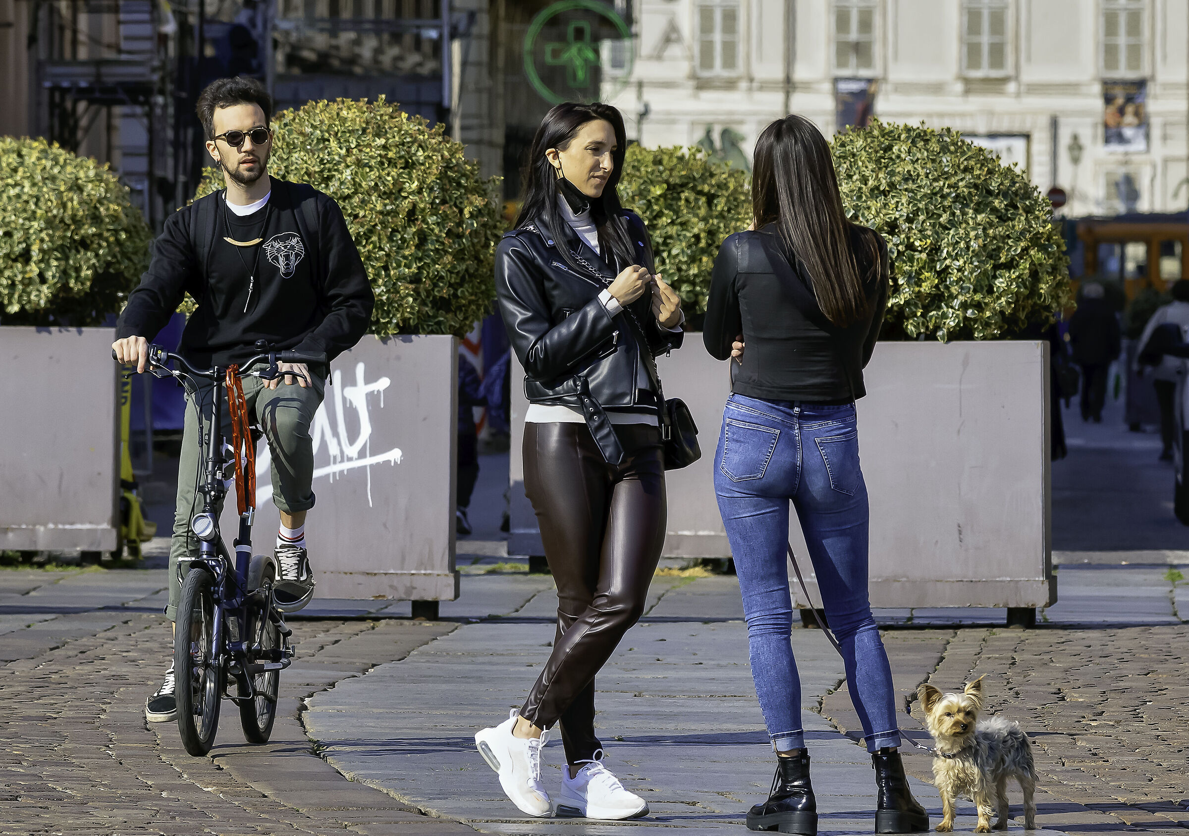Curious cyclist