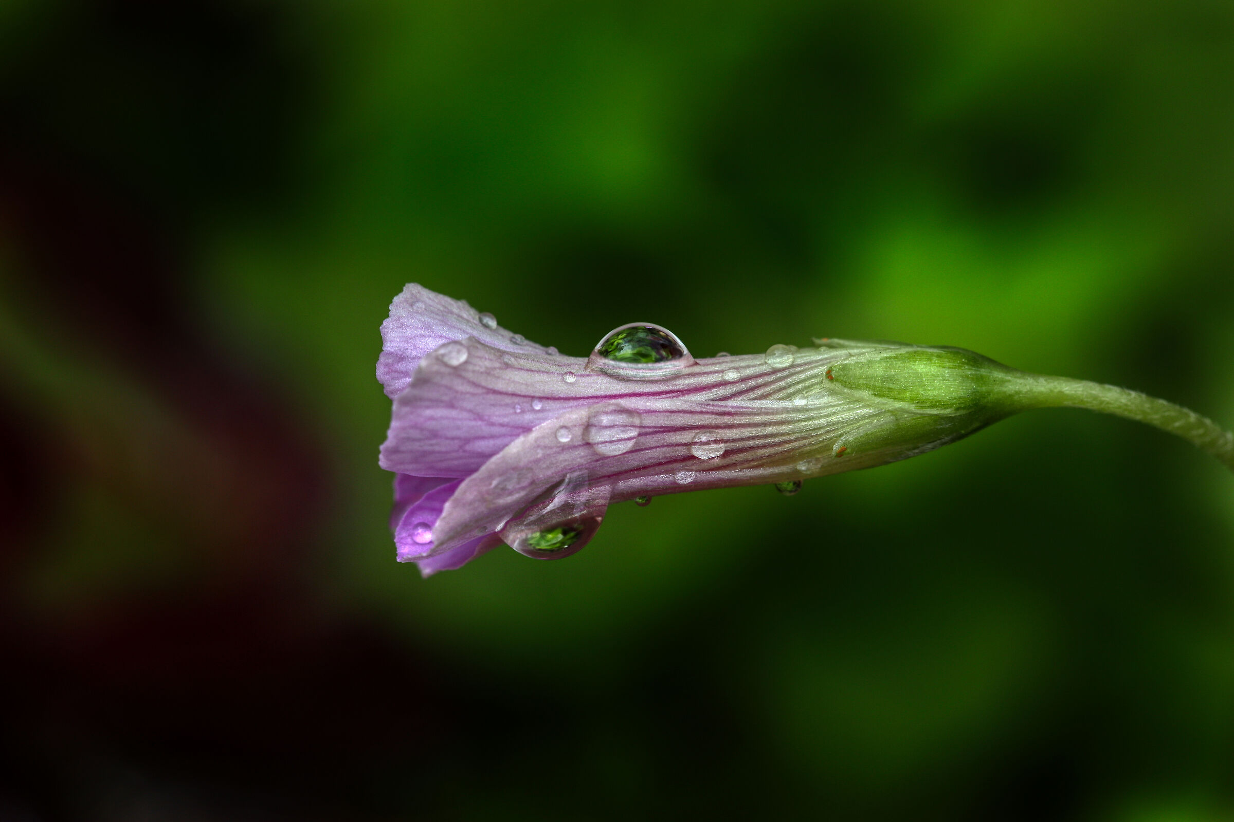 Untitled Photo