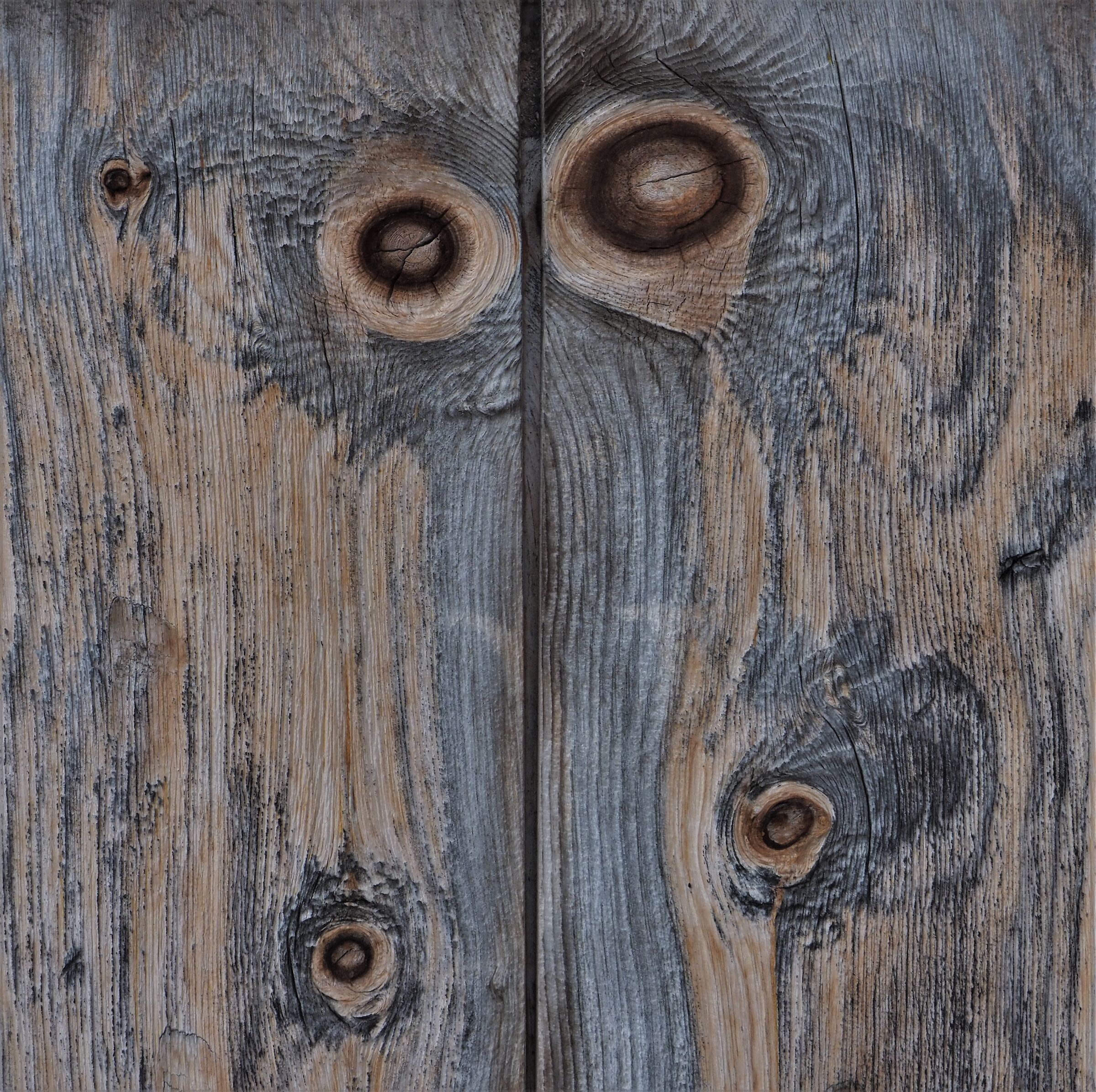 door with eyes