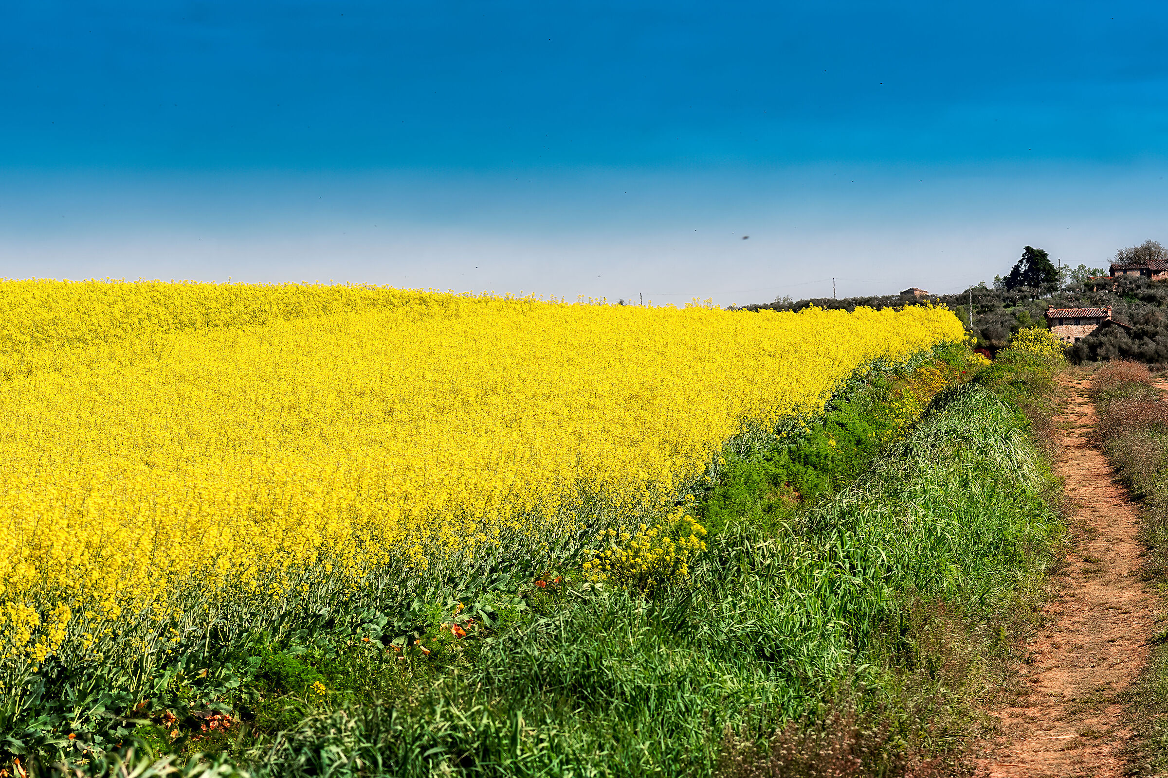 agricoltorua in umbria