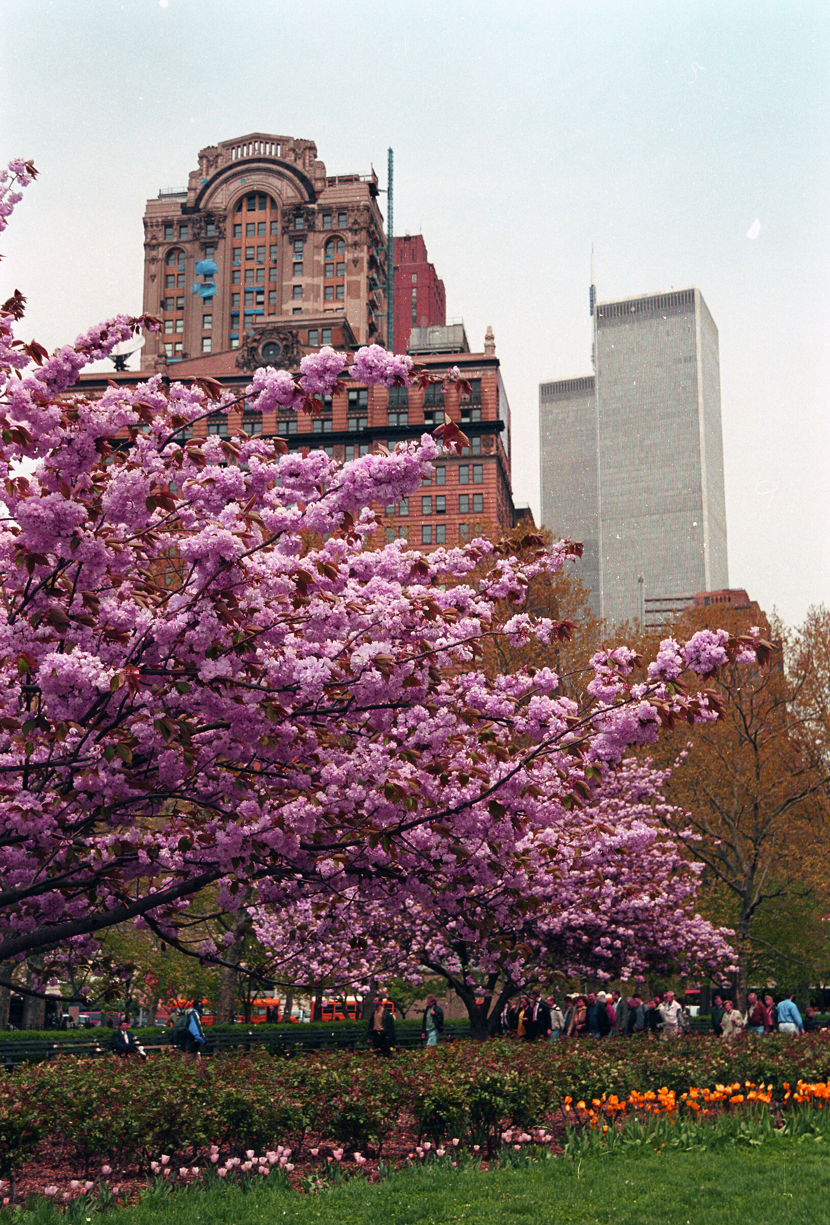 New York dal Battery Park con ancora le due torri