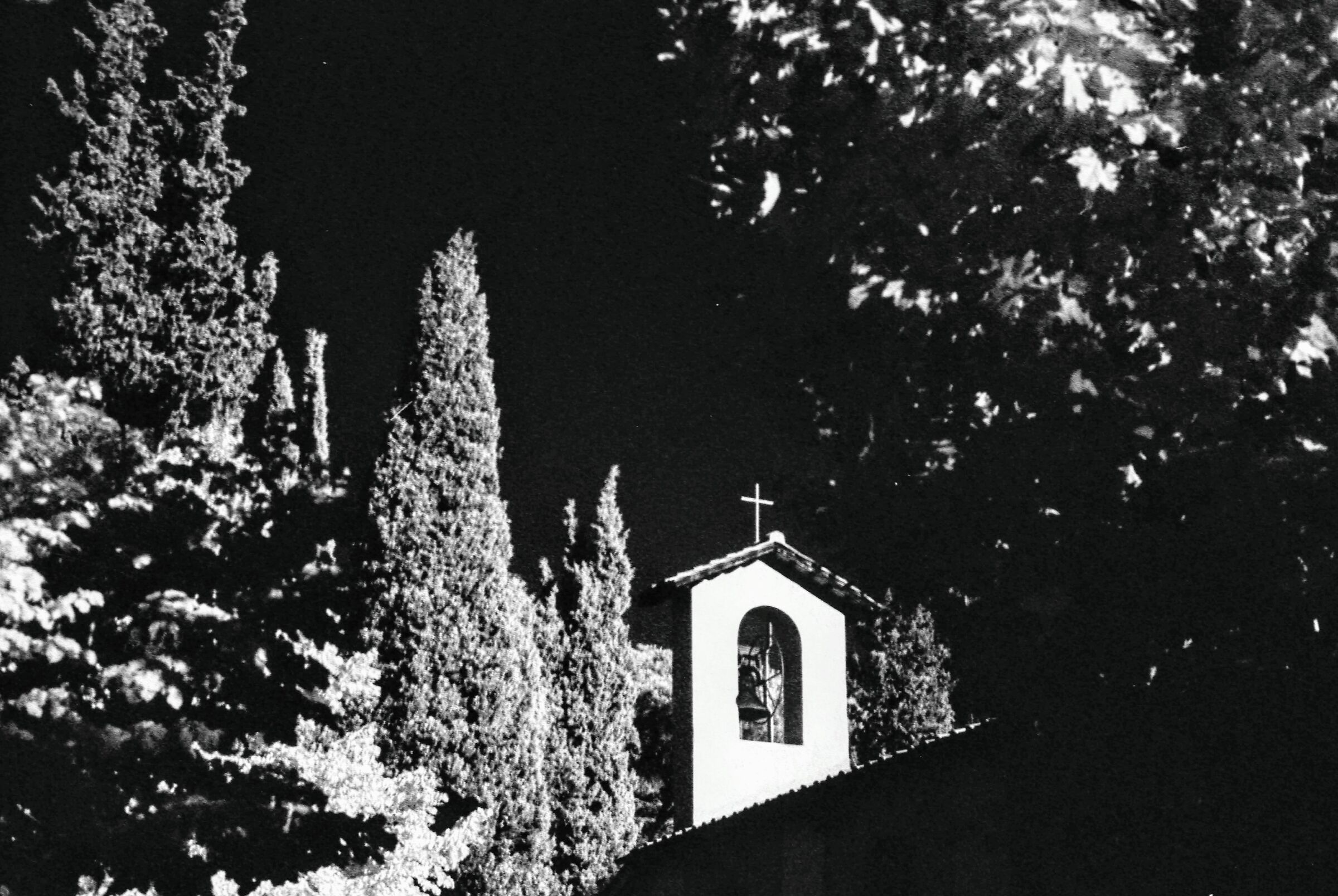 Senza Titolo