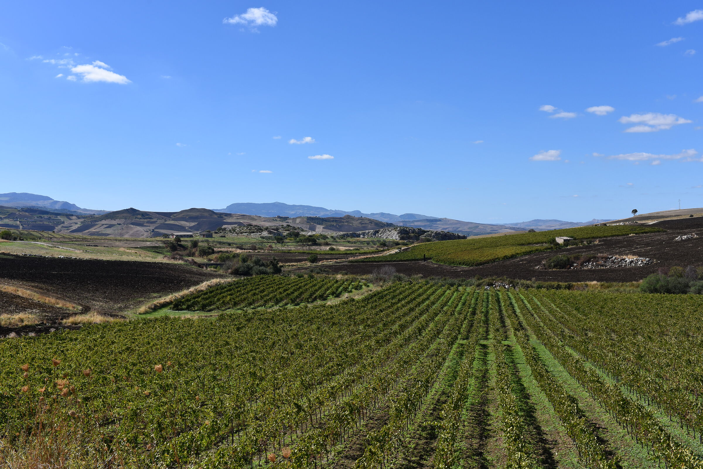 Tamron 35, 1.4 Di Usd - Nikon D 750