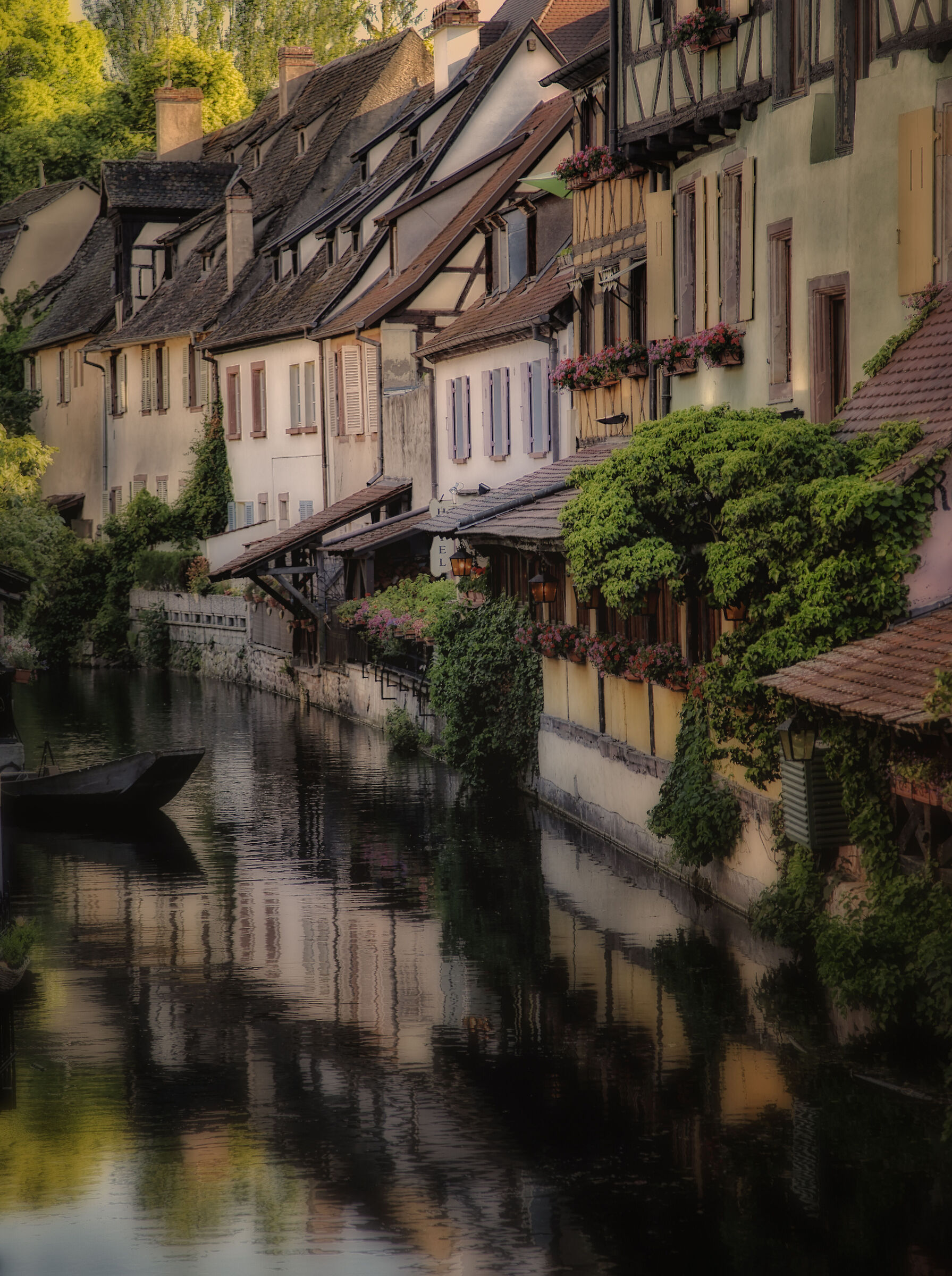 Colmar