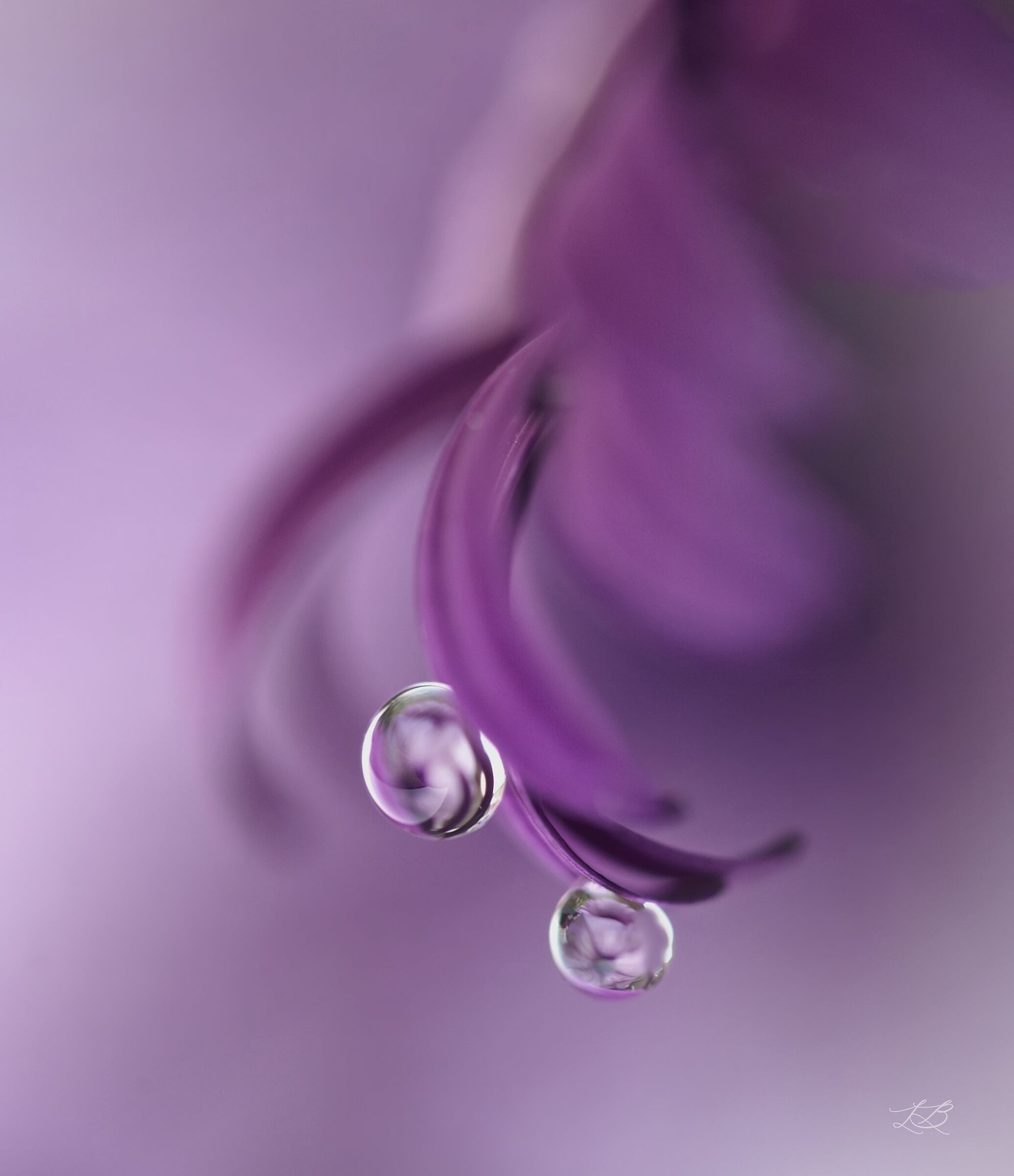 Drops