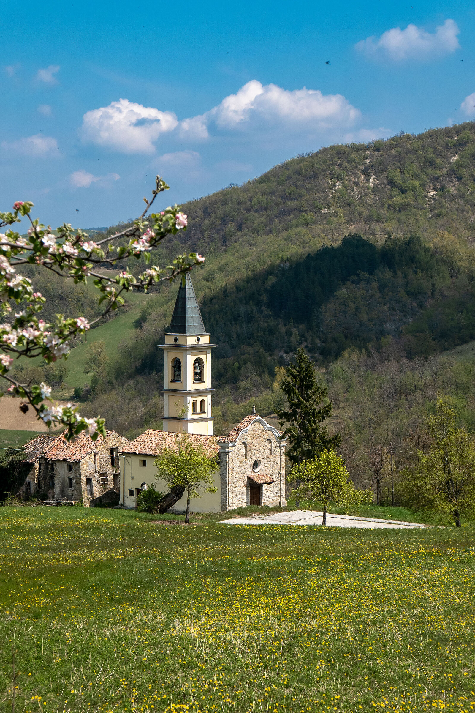 Chiesa di Sant'Andrea Apostolo e San Martino Vescovo