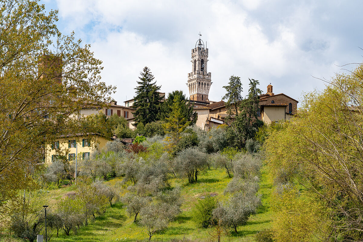"Spring in the Secret Valley"