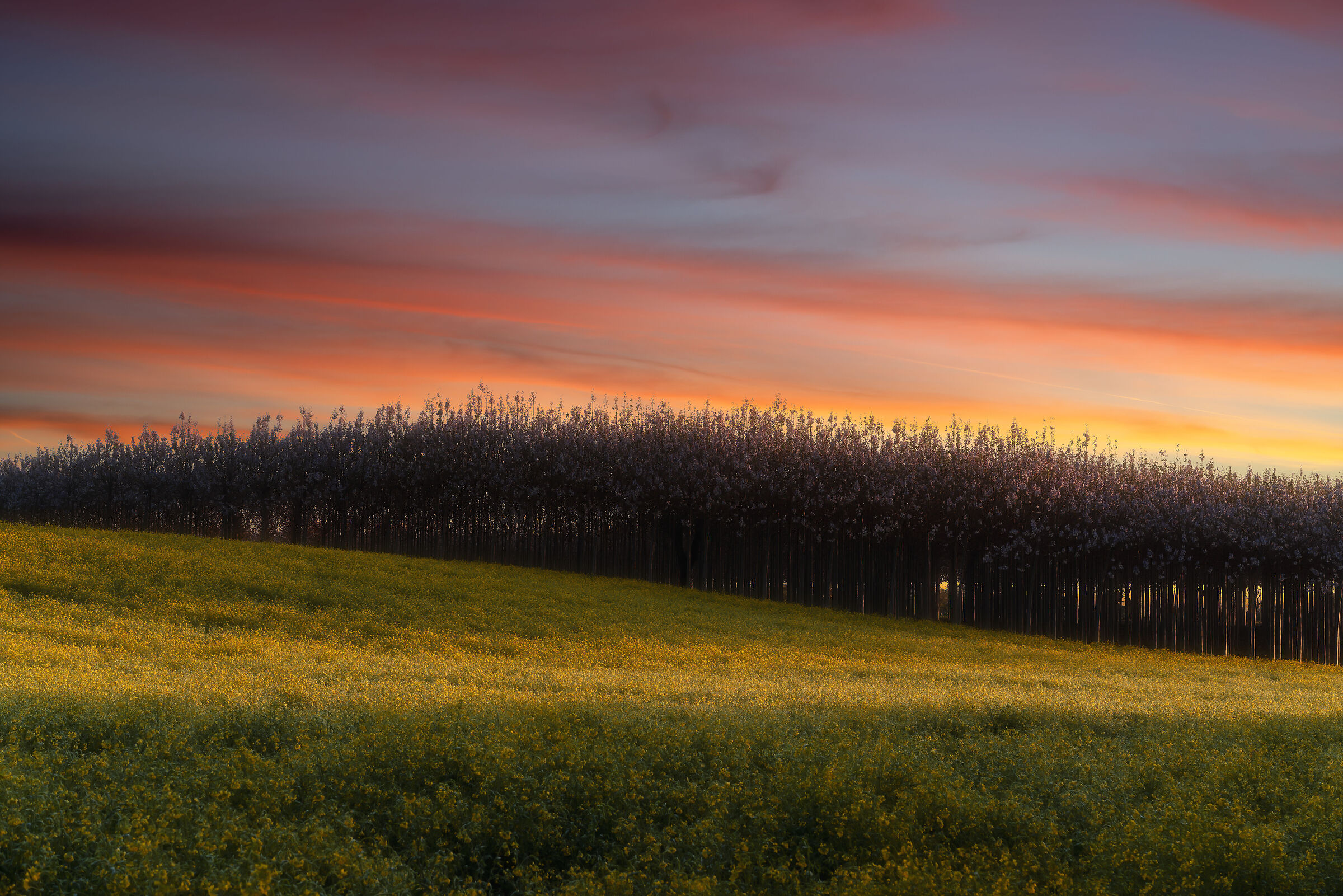 Colori nelle onde VI