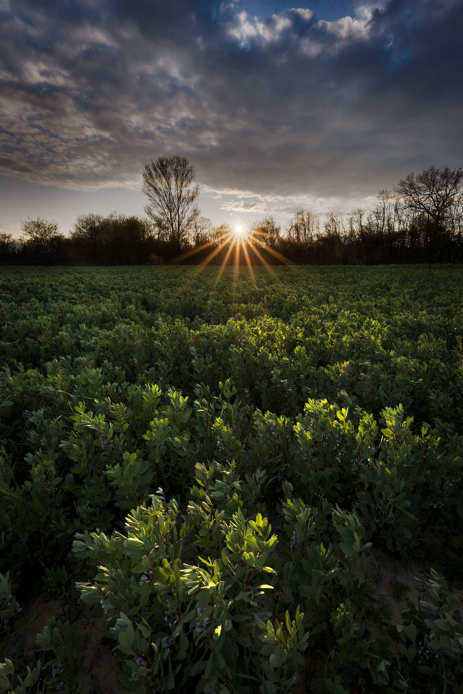 Machined fields