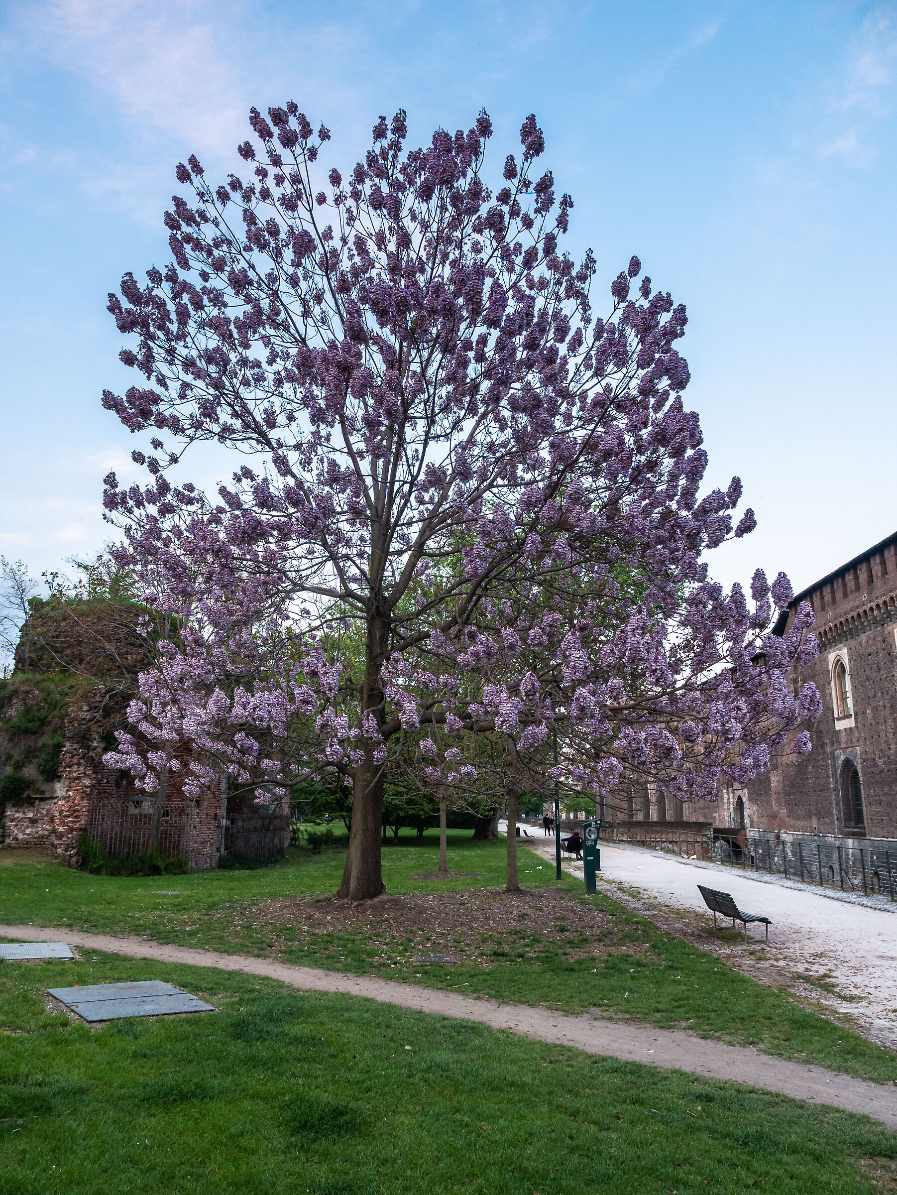 Parco Sempione - Milan