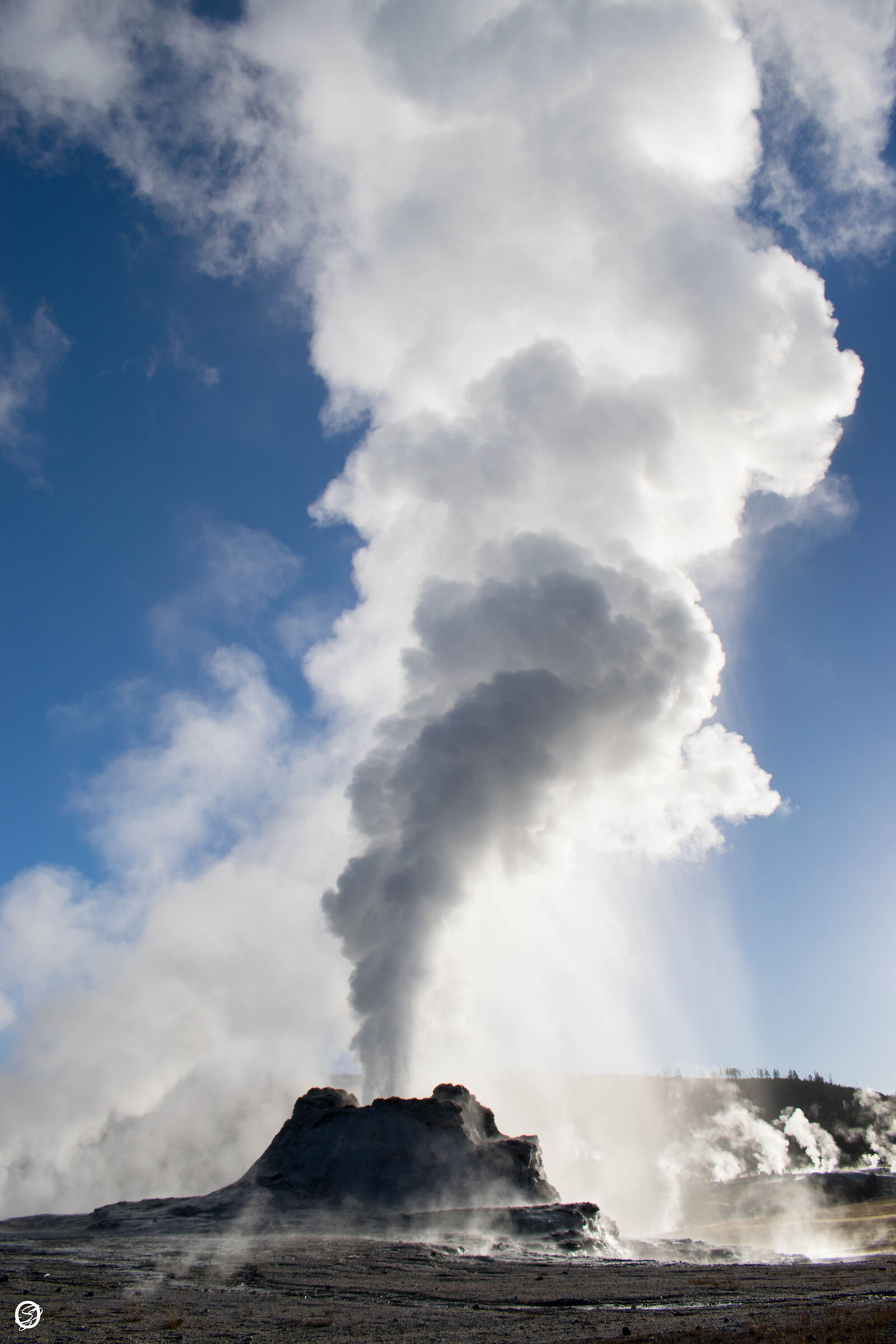 Early morning at The Castle geyser