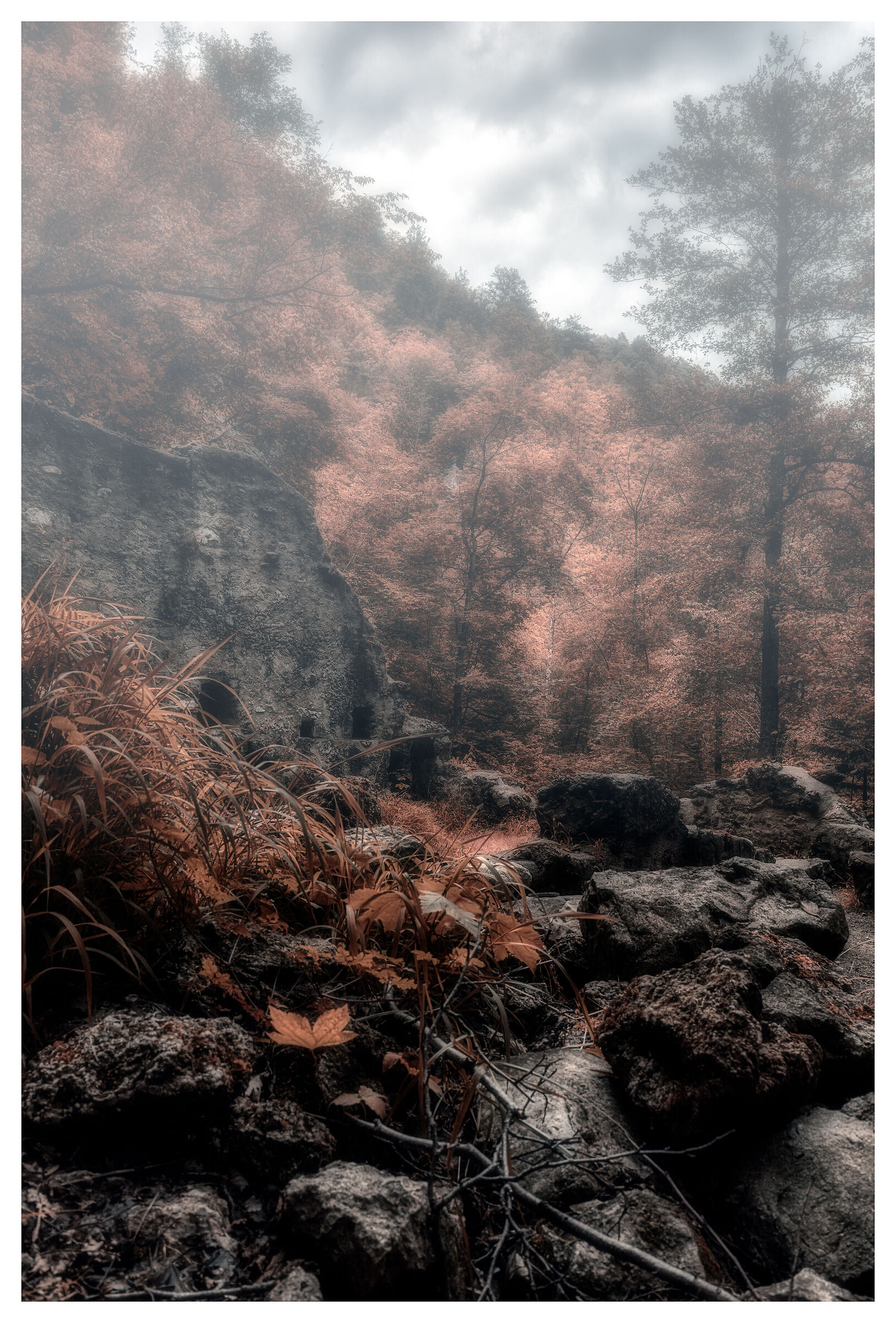 Rubble wood, England