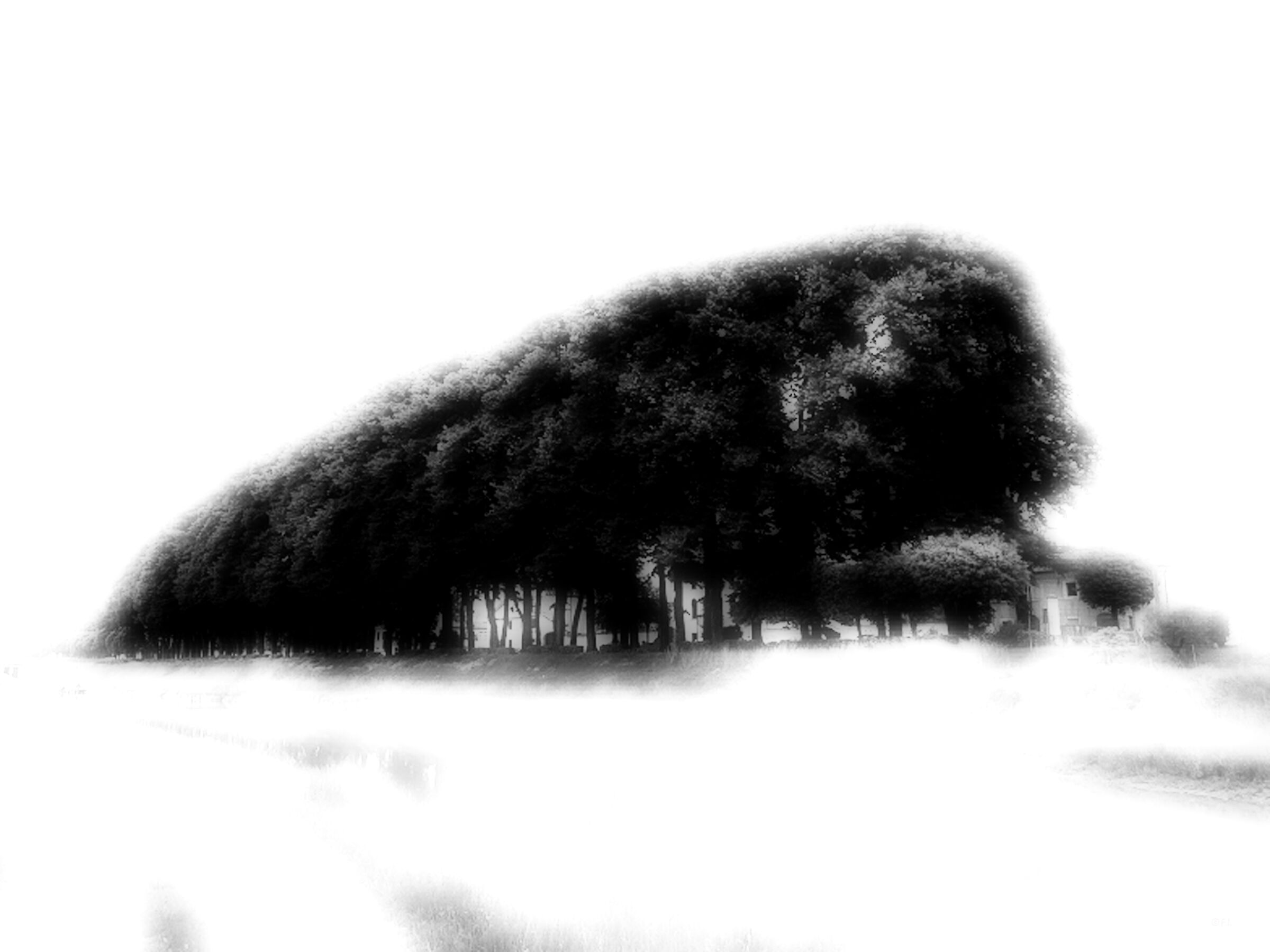 e' il giorno della Terra