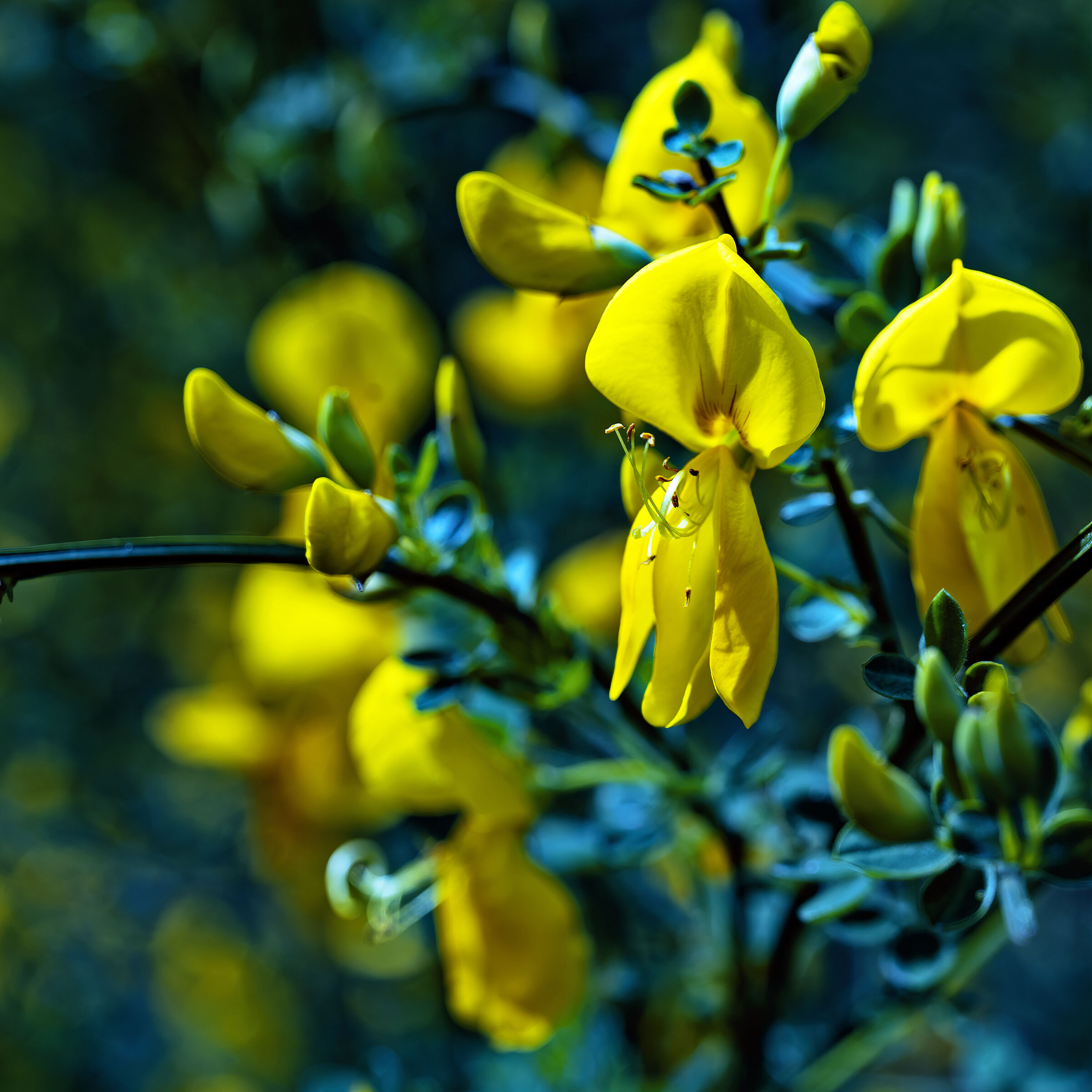 Gruppo di famiglia in esterno