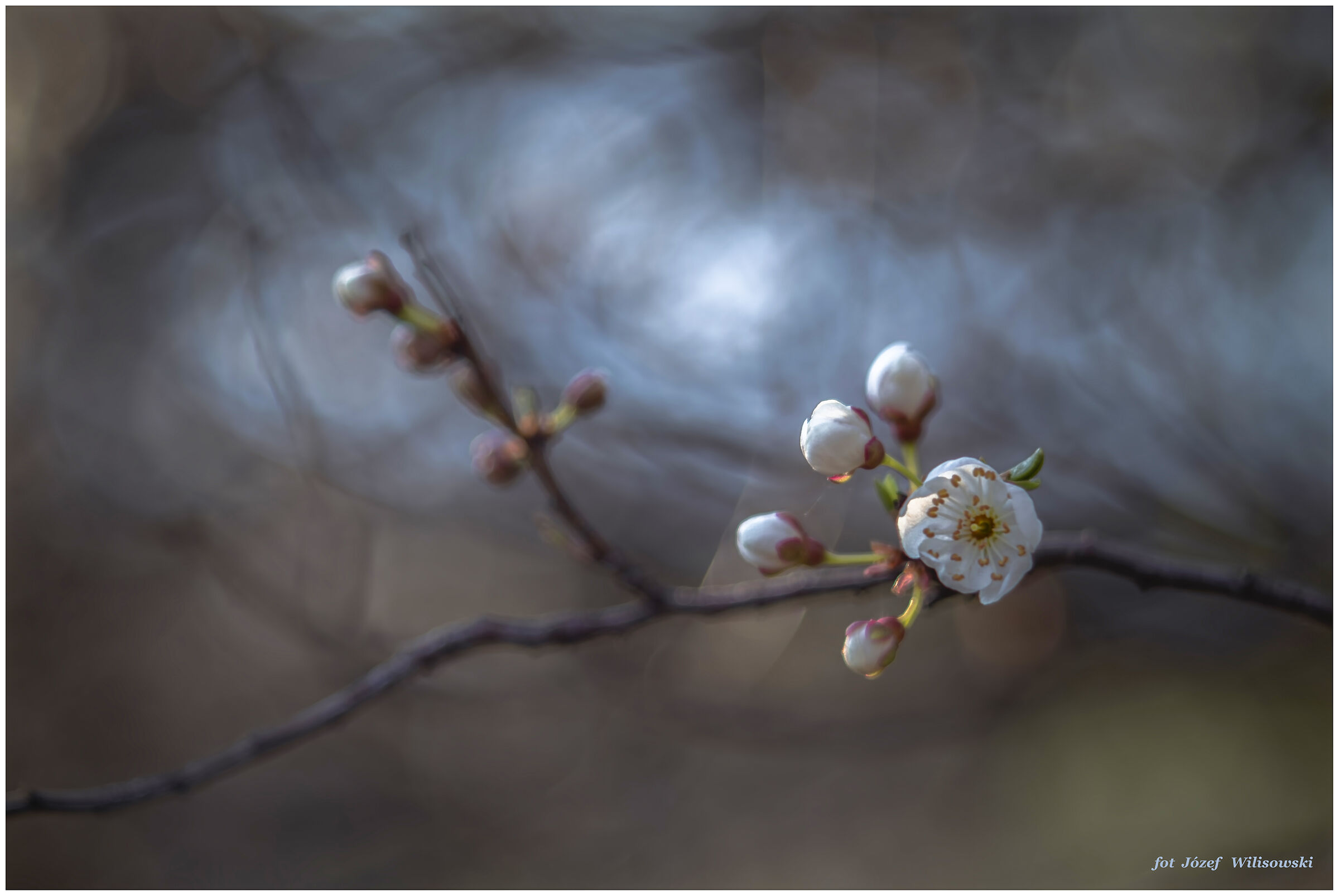 Modified Diaplan 80/2,8