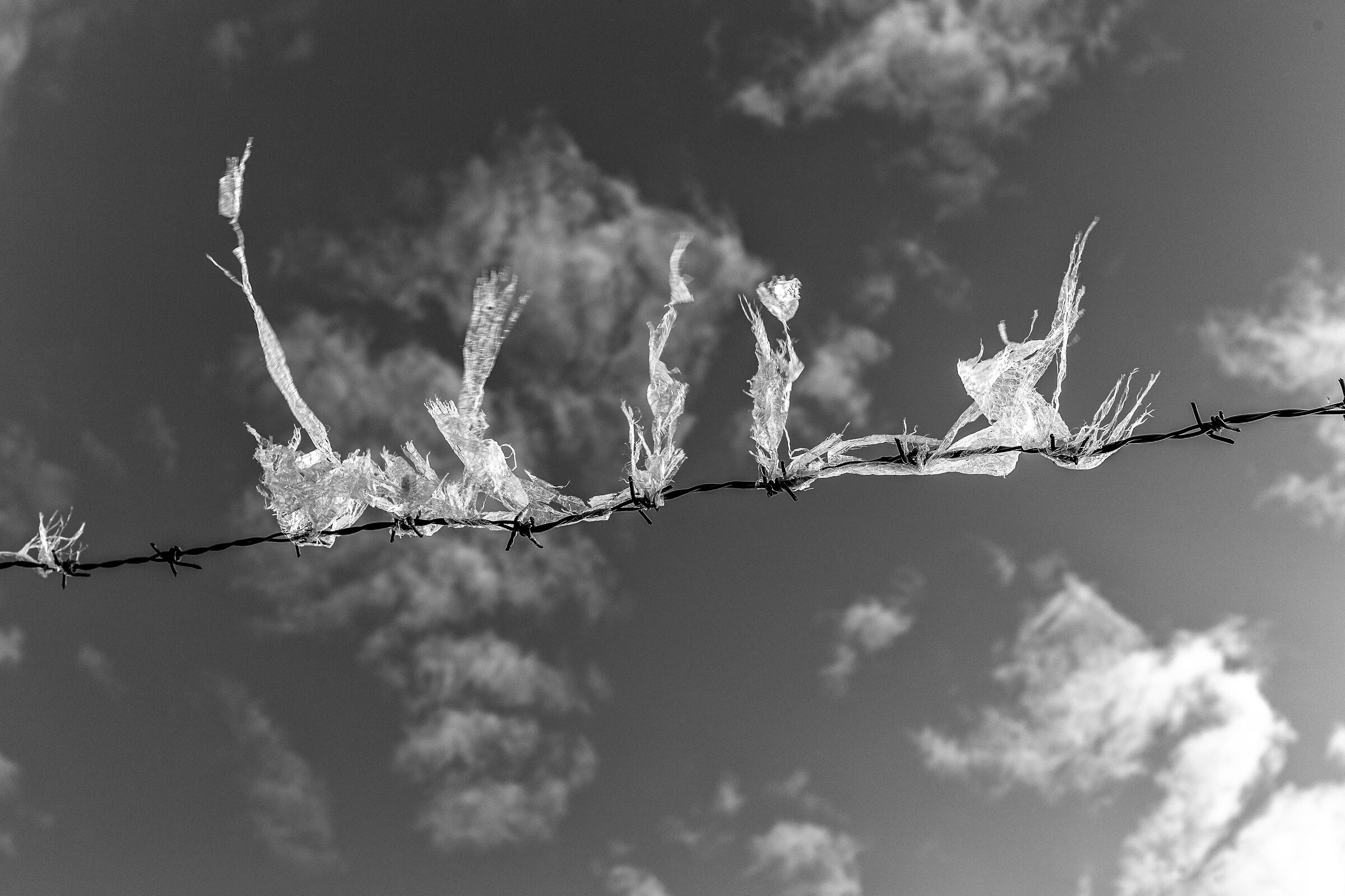 Decadimento Industriale