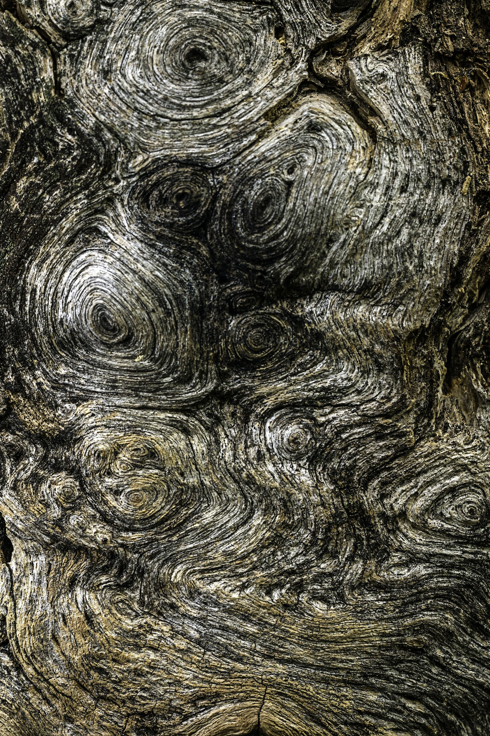 Vortici. Abstract II.