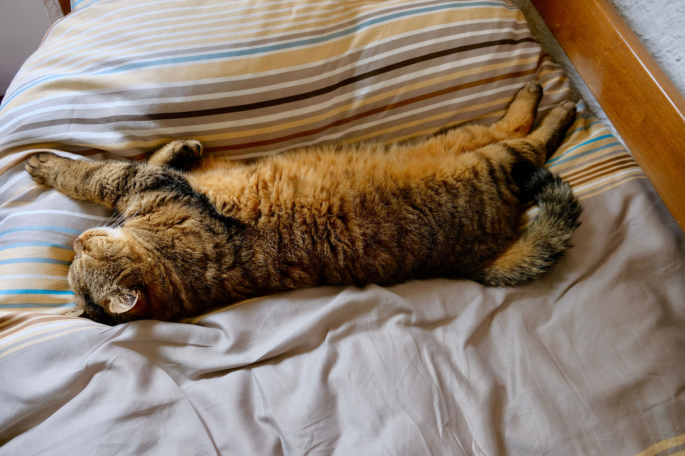 I'm going to stretch out for a second.