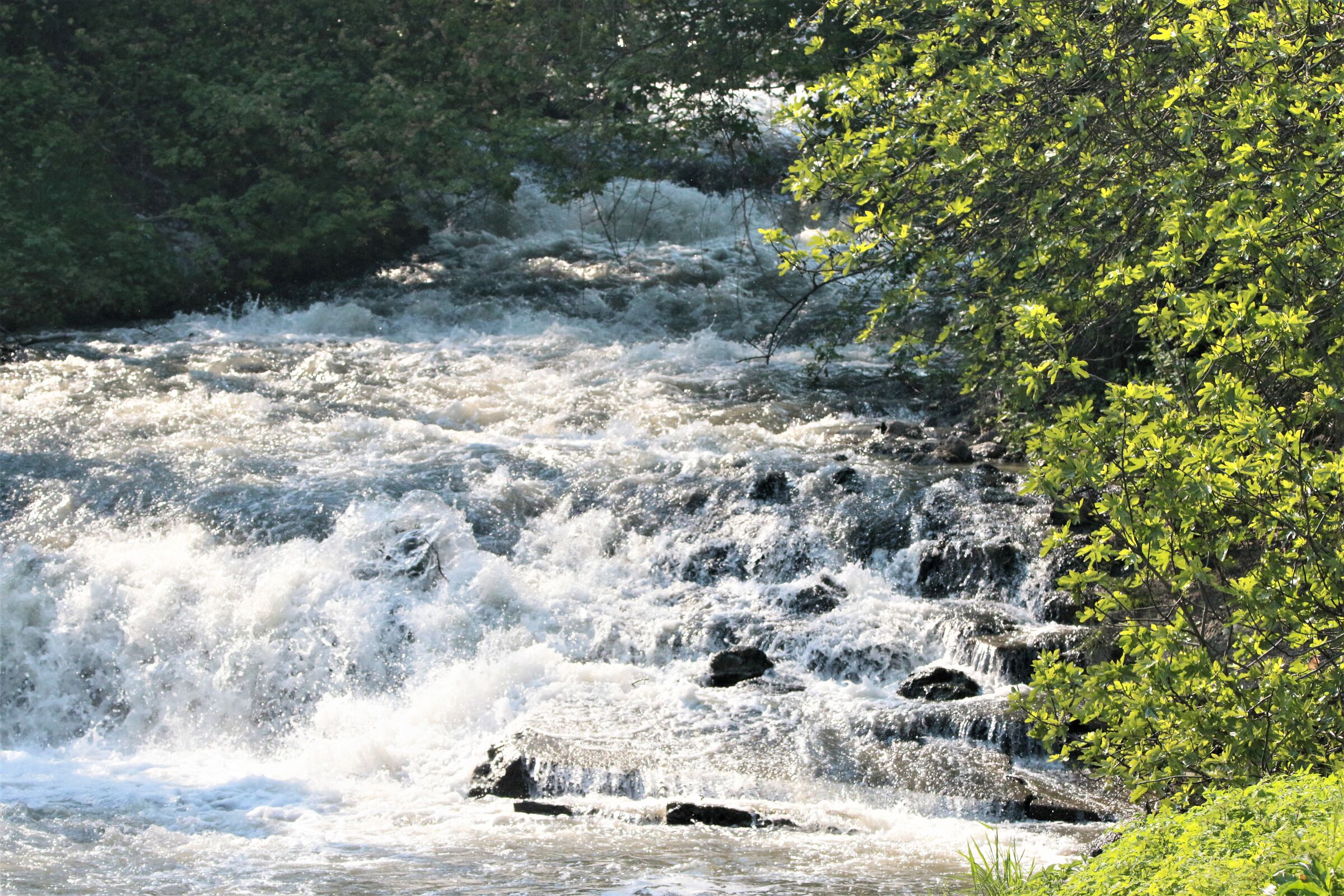 Ticinello a Landriano (pavia)
