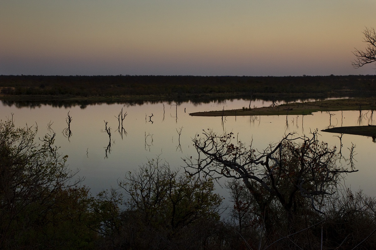 Riflessi al parco kruger