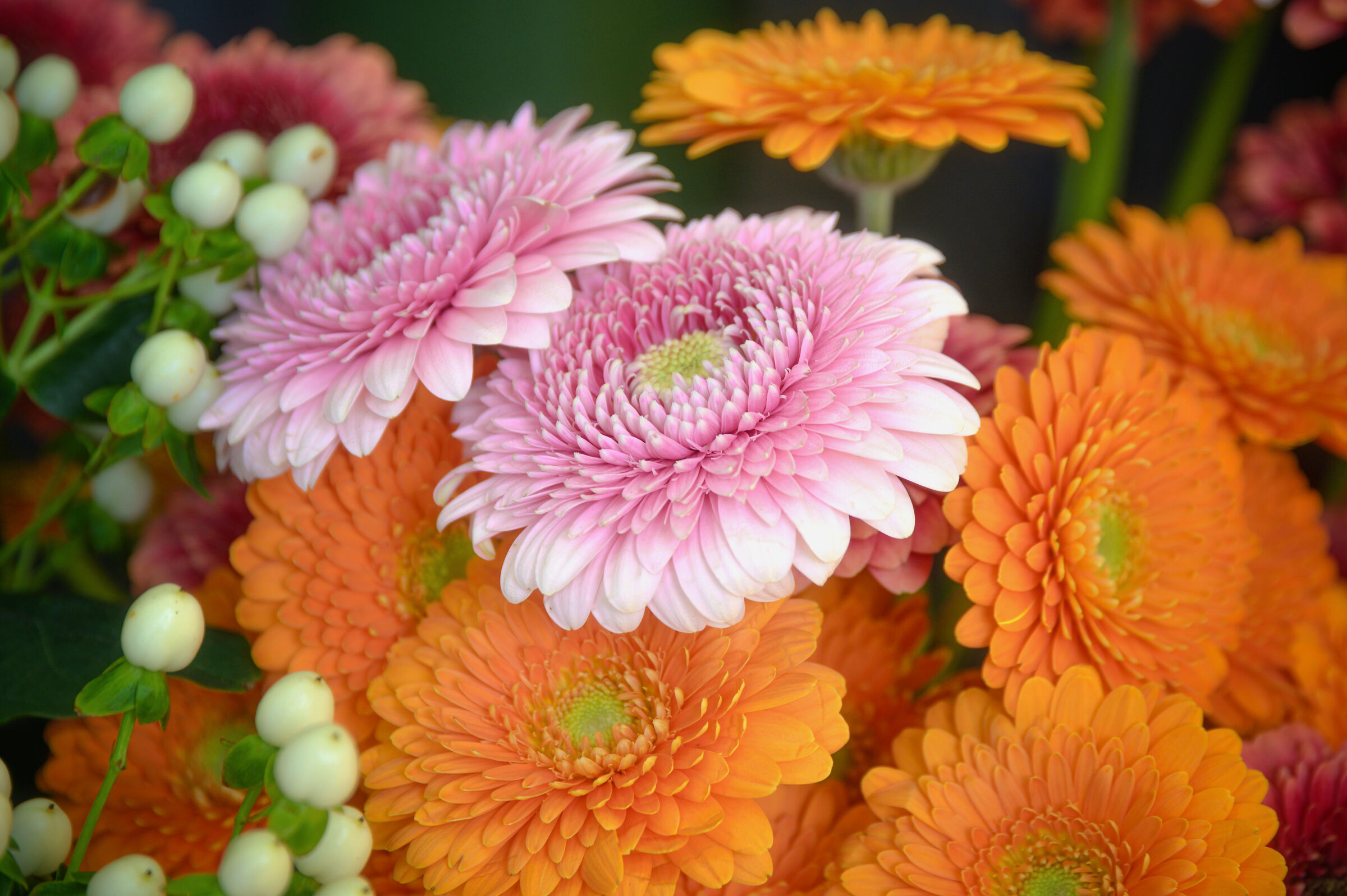 Primavera in arrivo.