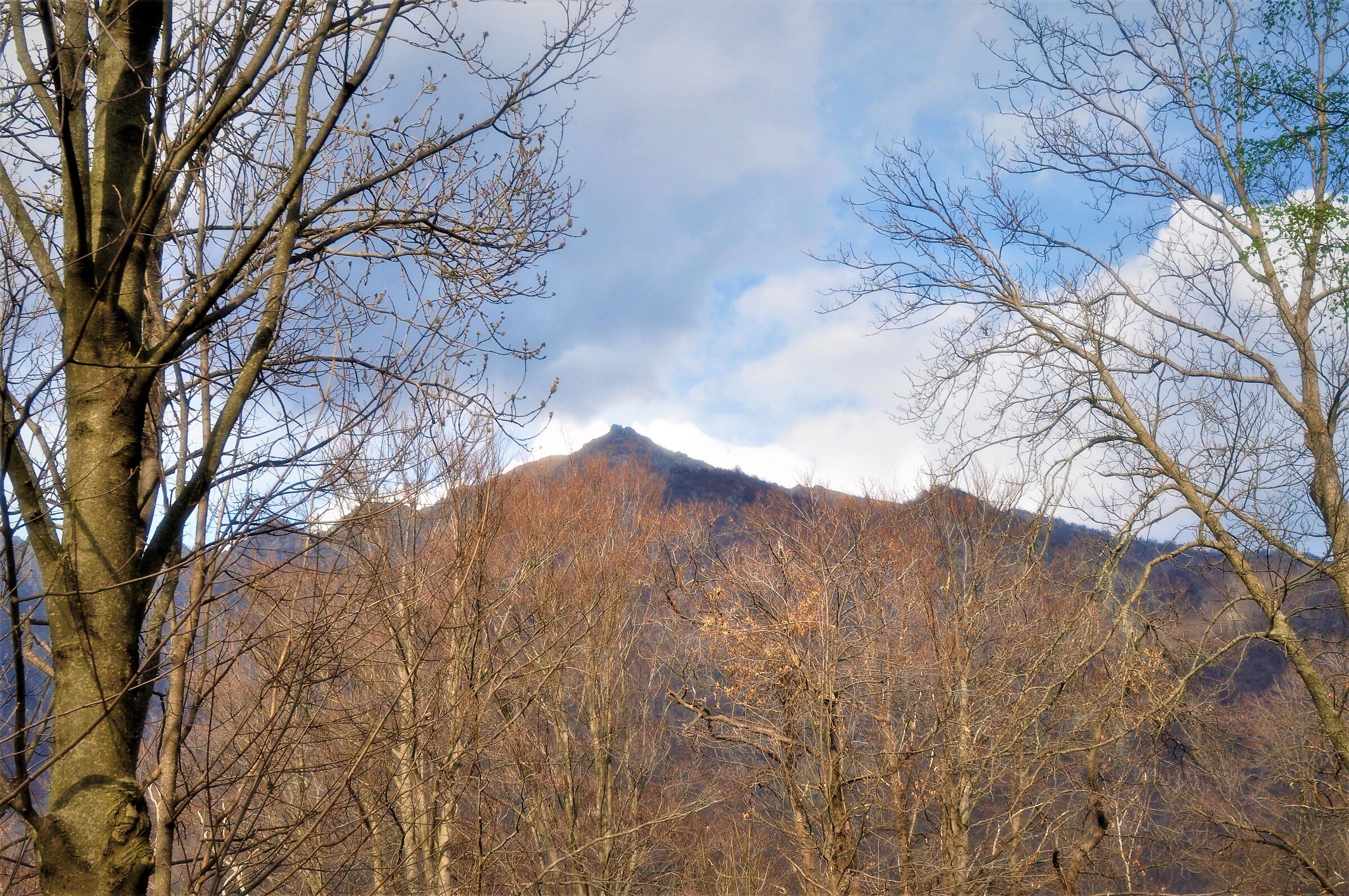 Mountains from the wood