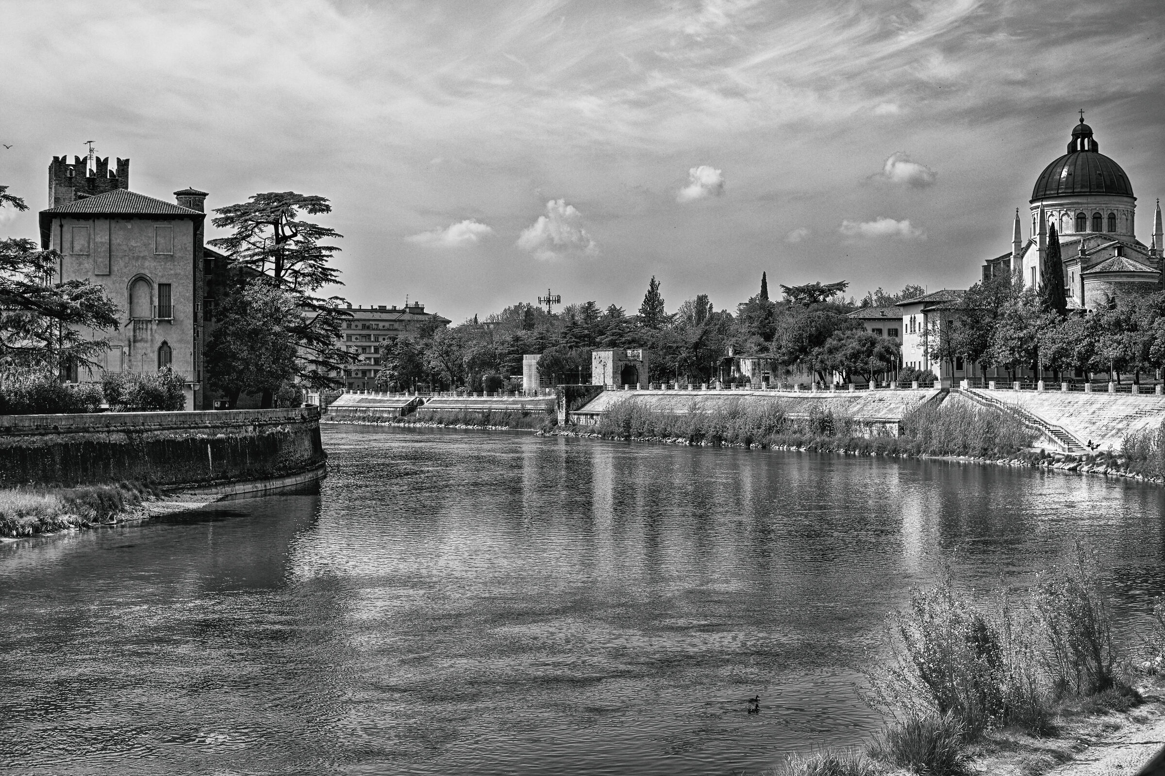 Evidence of Nik collection