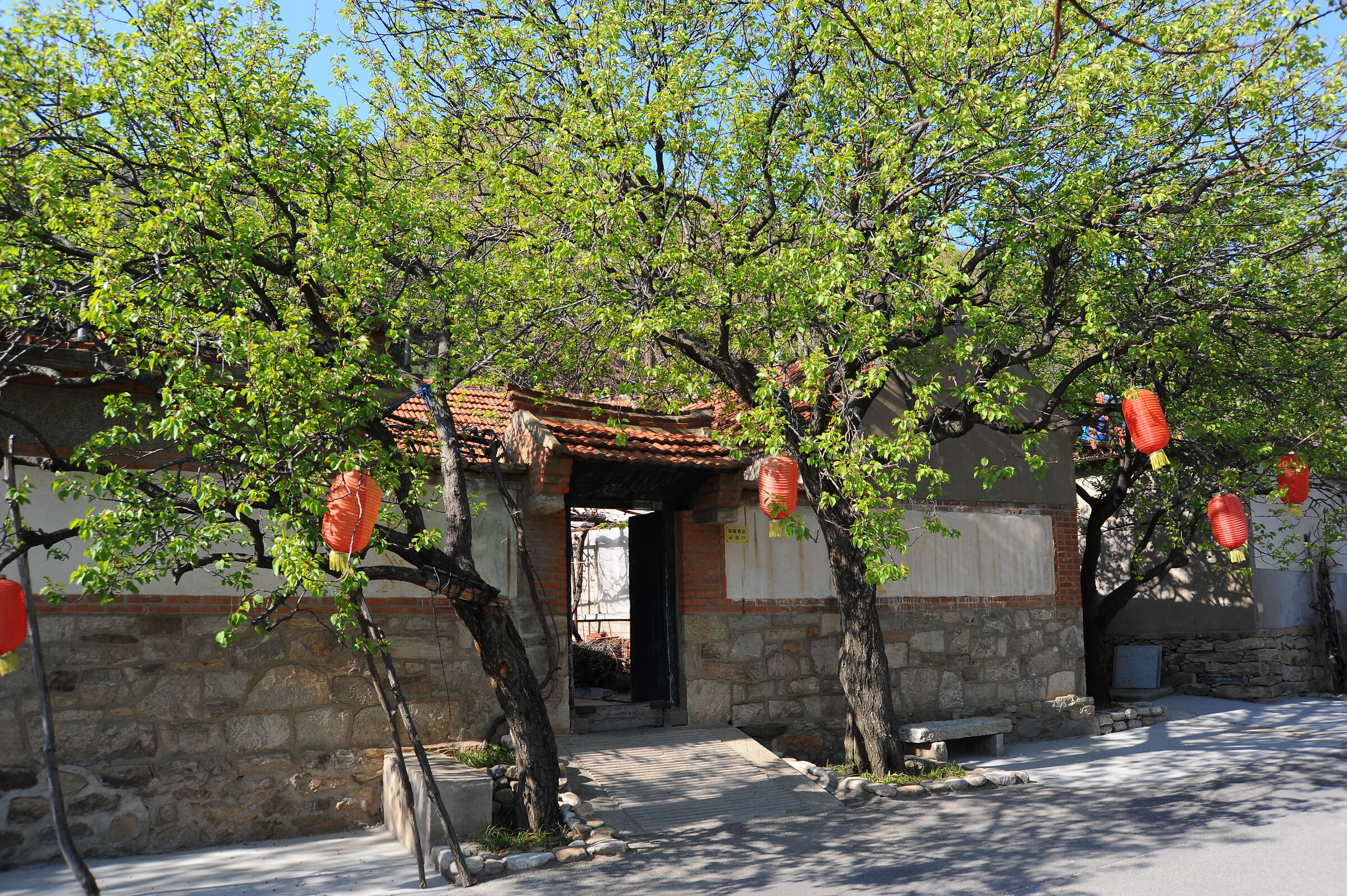 Springtime of the mountain villege