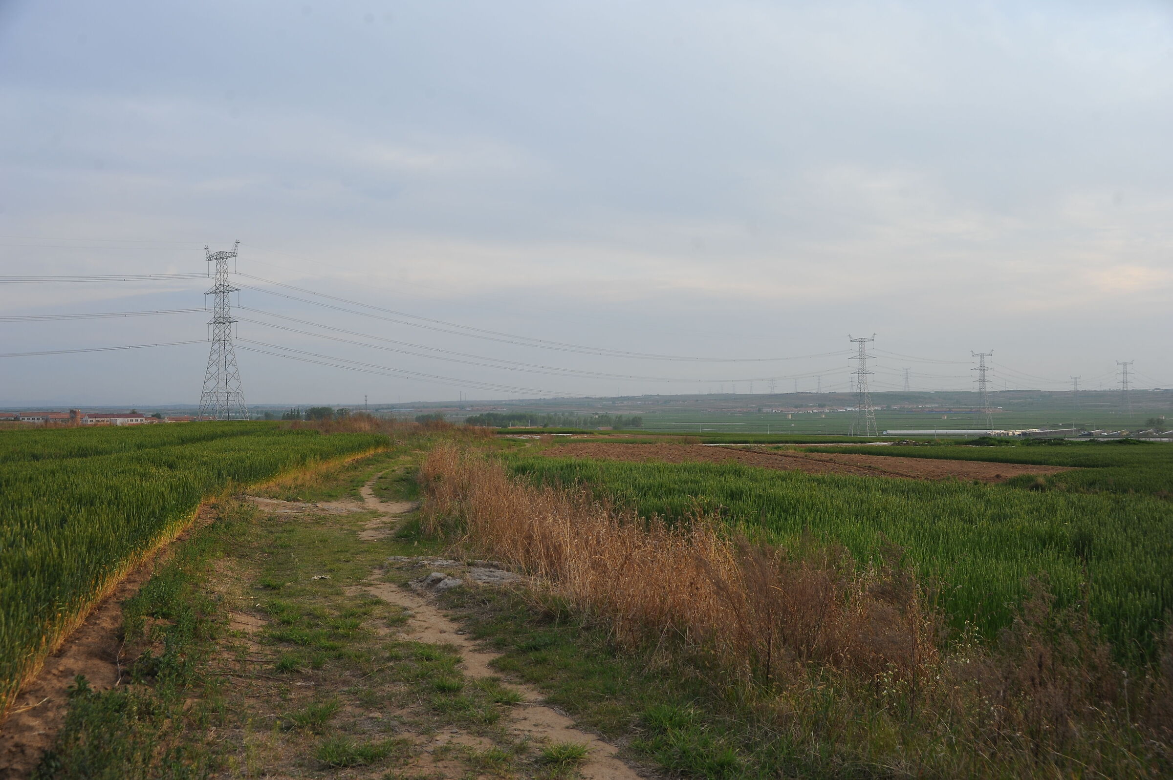 Early summer