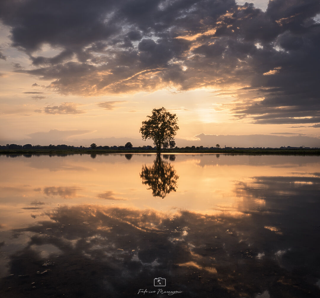 Tramonto tra le risaie