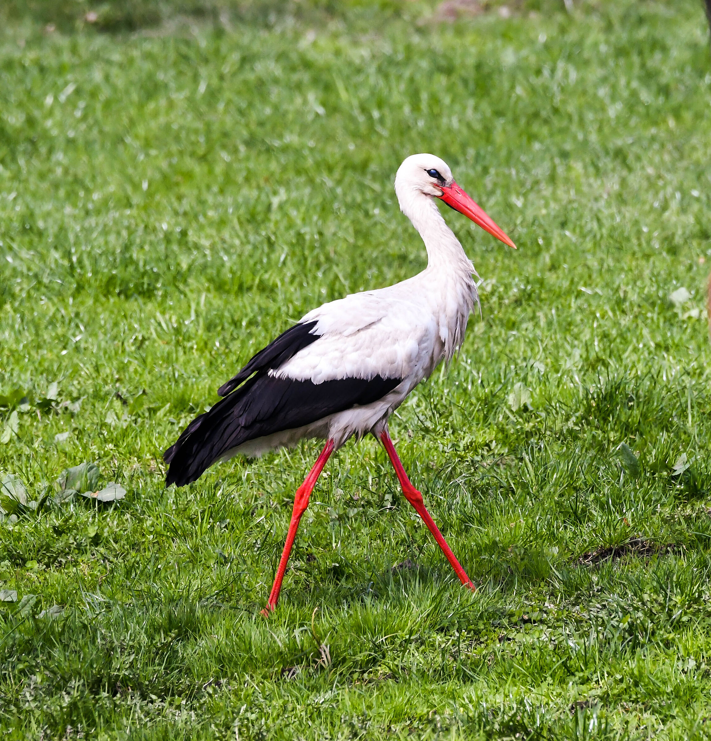 La valle del fiume Bug