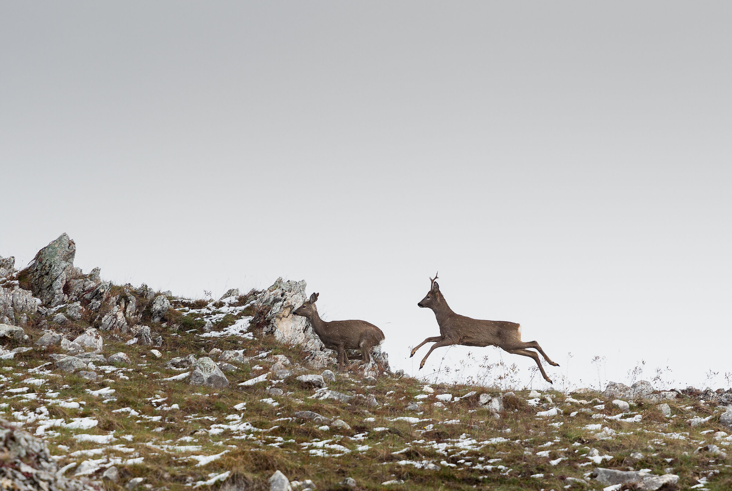 Incontro tra il nevischio