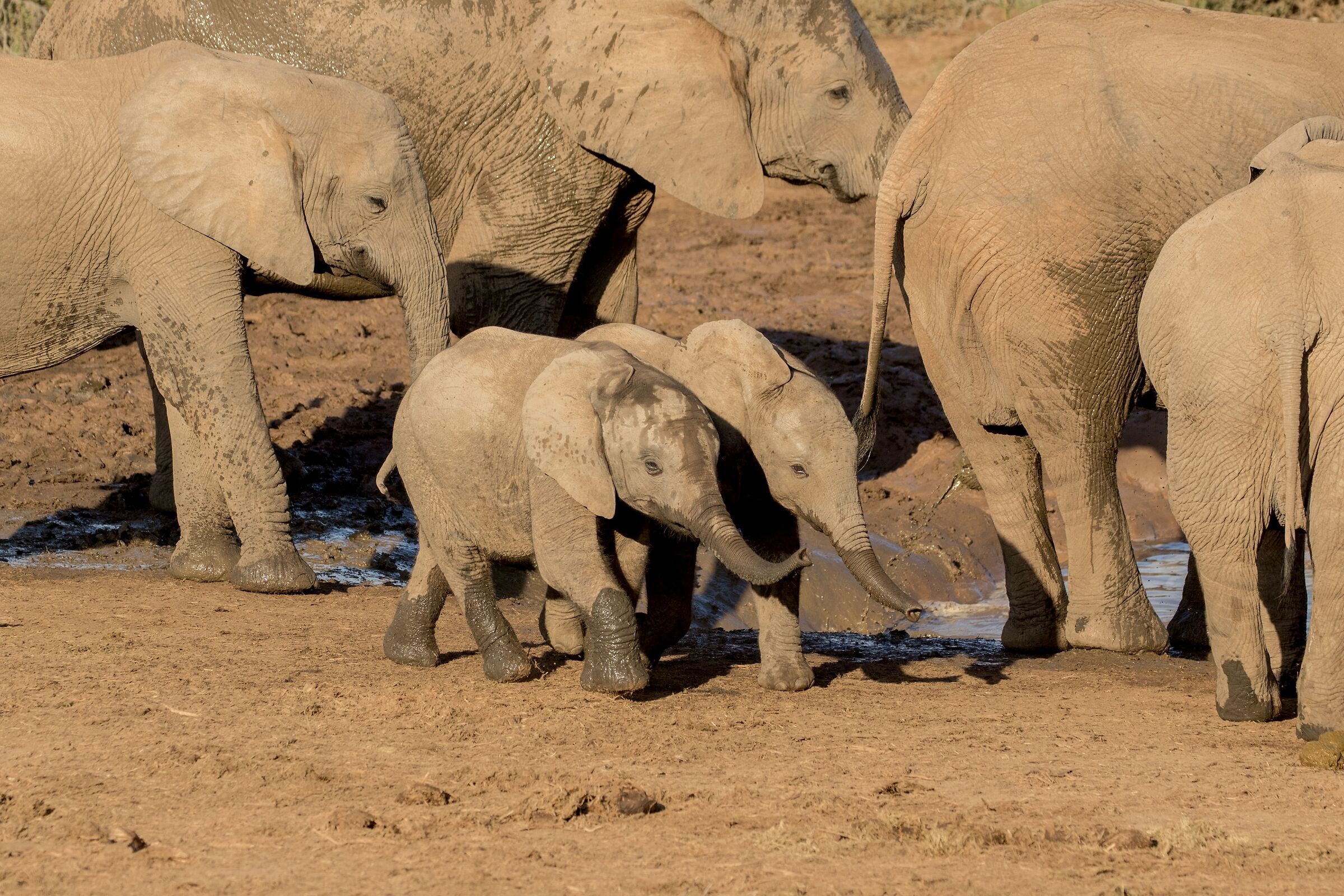 Friends for the Skin